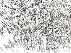 Henri Michaux -  Spiaggia - Litografia originale