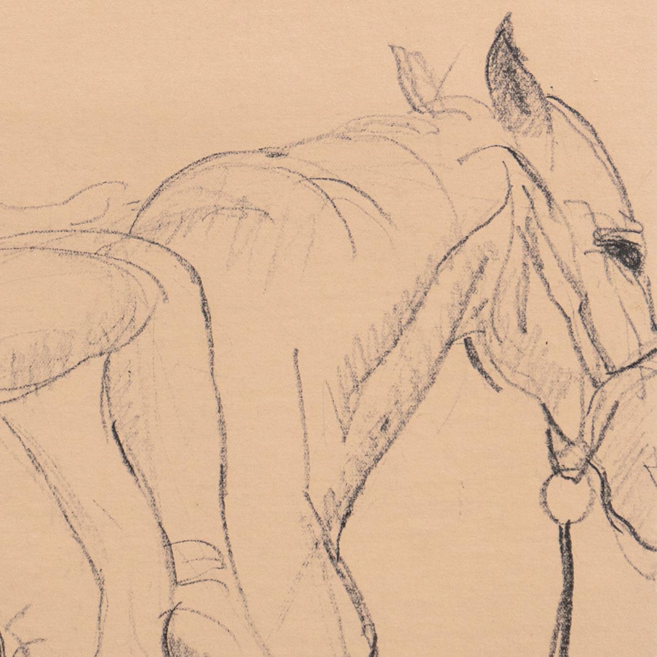 Equestrienne