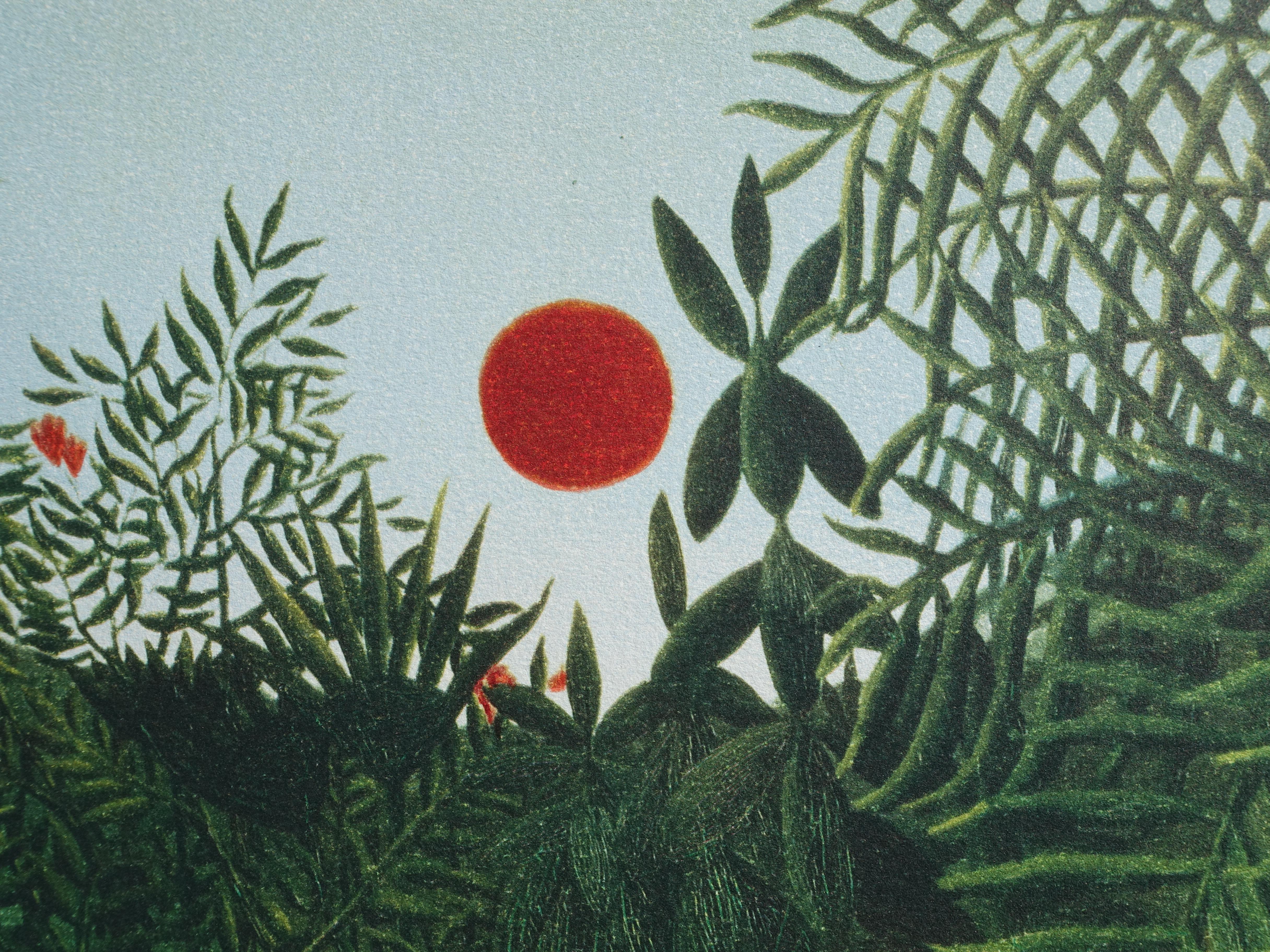 Virgin Forest with Sunset - Lithograph - Limited /300ex For Sale 3