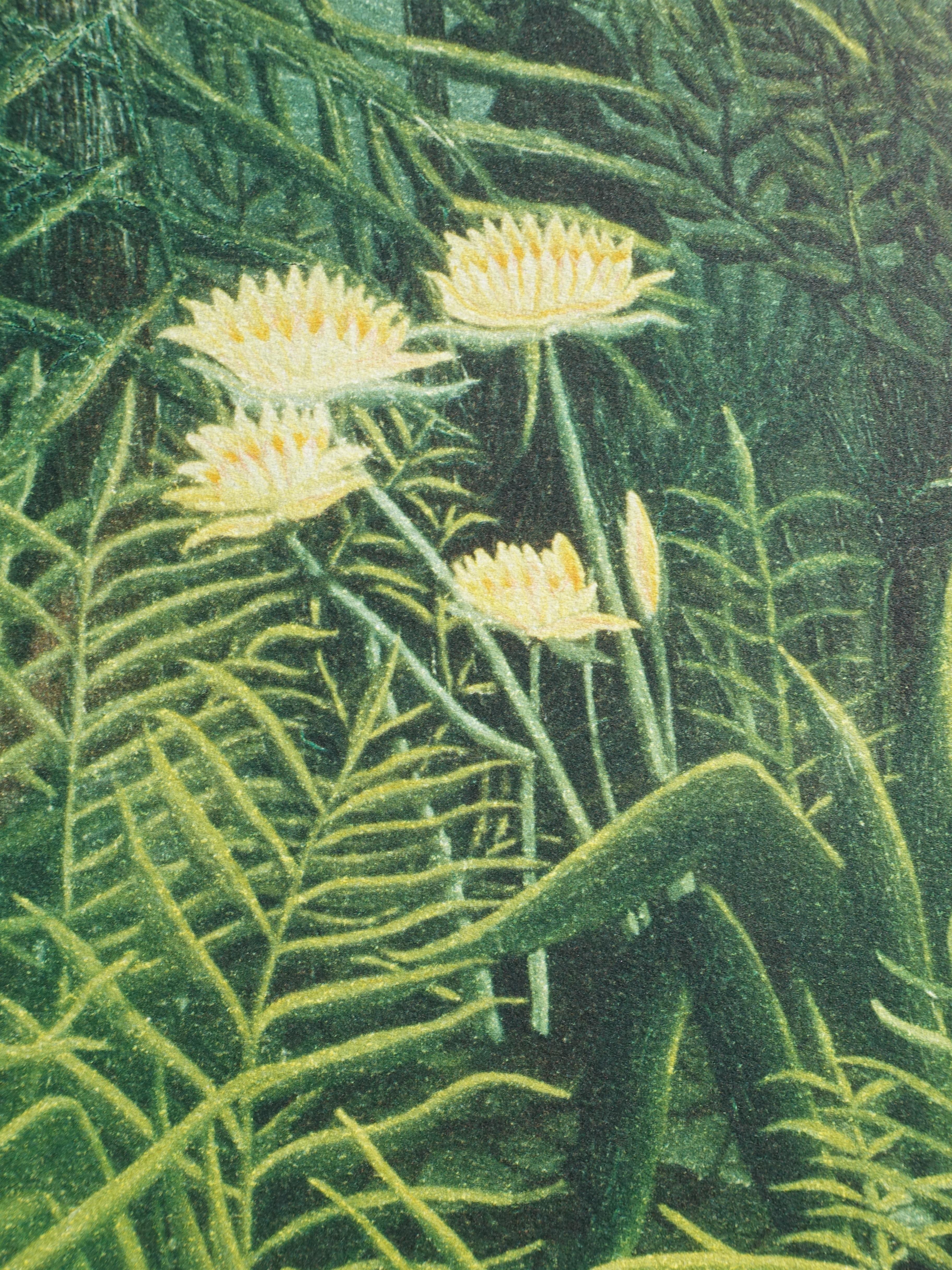 Virgin Forest with Sunset - Lithograph - Limited /300ex For Sale 4