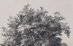 Christ's College, Cambridge etching by Henri Toussaint