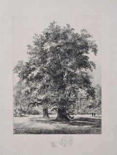 Christ's College, Cambridge - acquaforte di Henri Toussaint