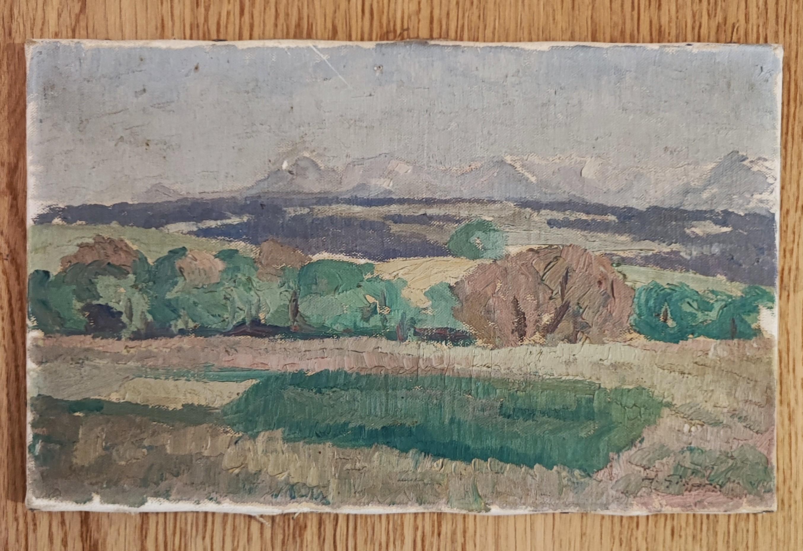Cadena montañosa - Painting de Henri Vincent Gillard