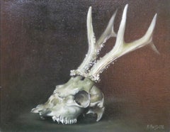 Henrietta Abel-Smith (1987-) original oil painting DEER SKULL ANTLERS still life