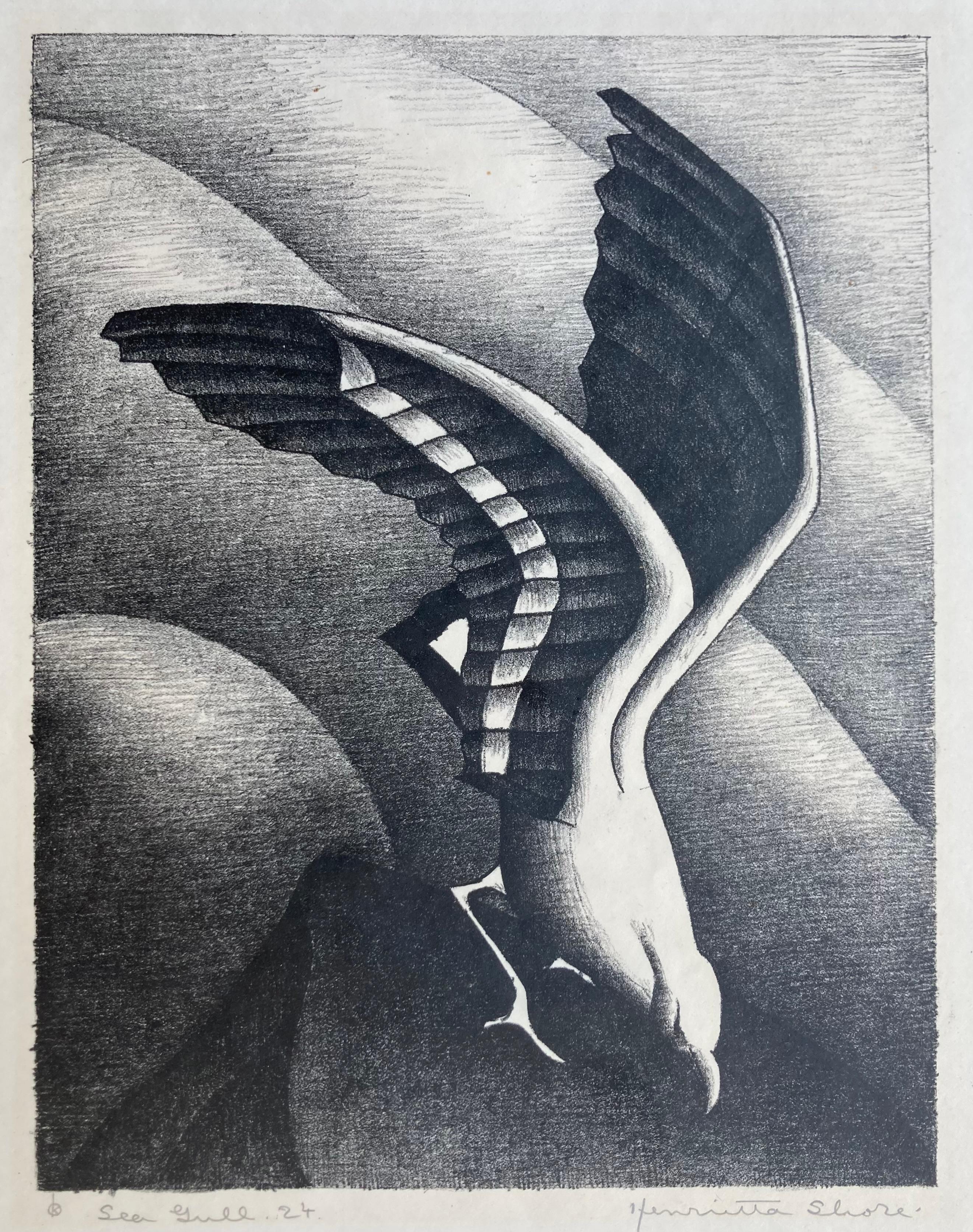 Sea Gull - Print by Henrietta Shore
