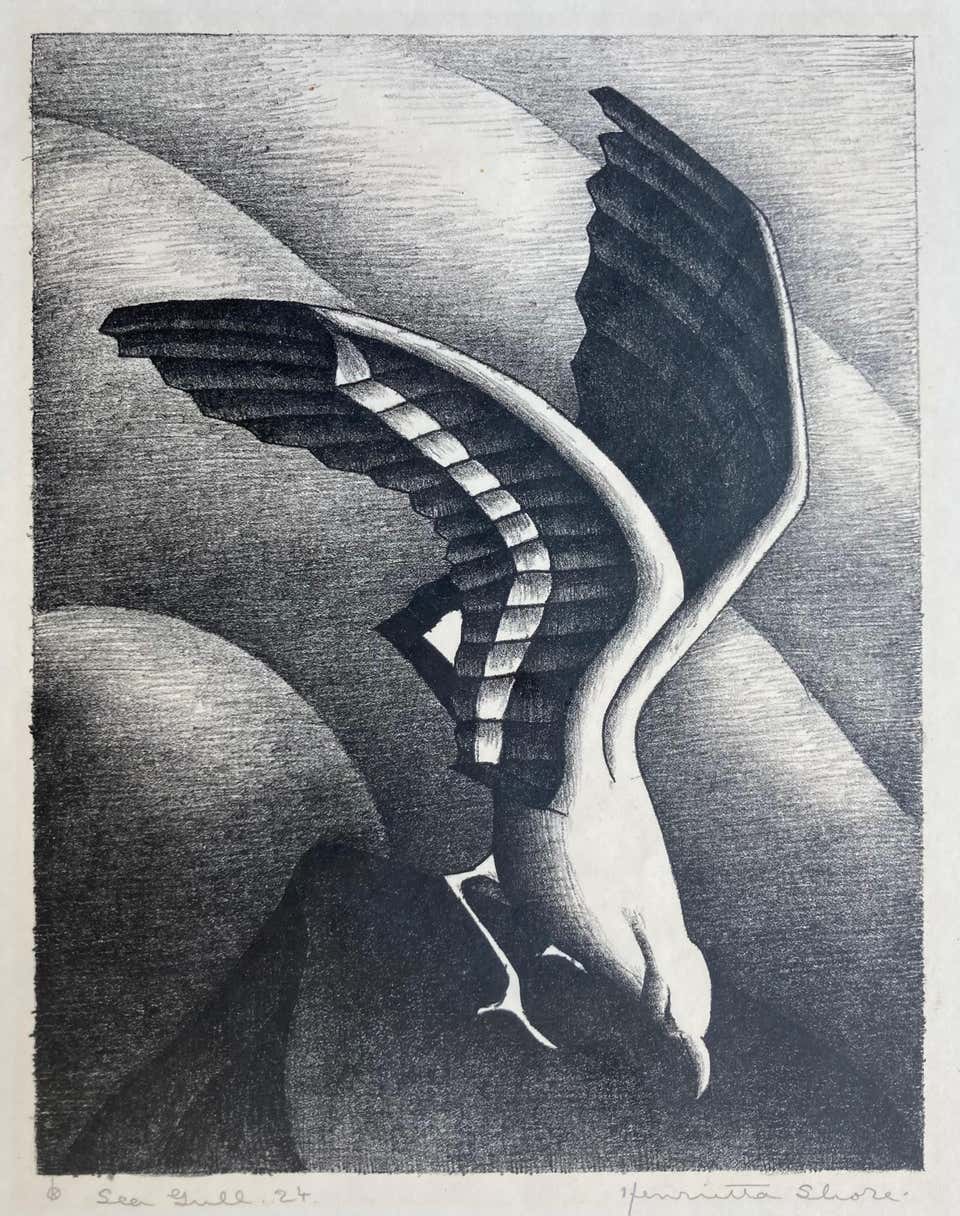 Sea Gull