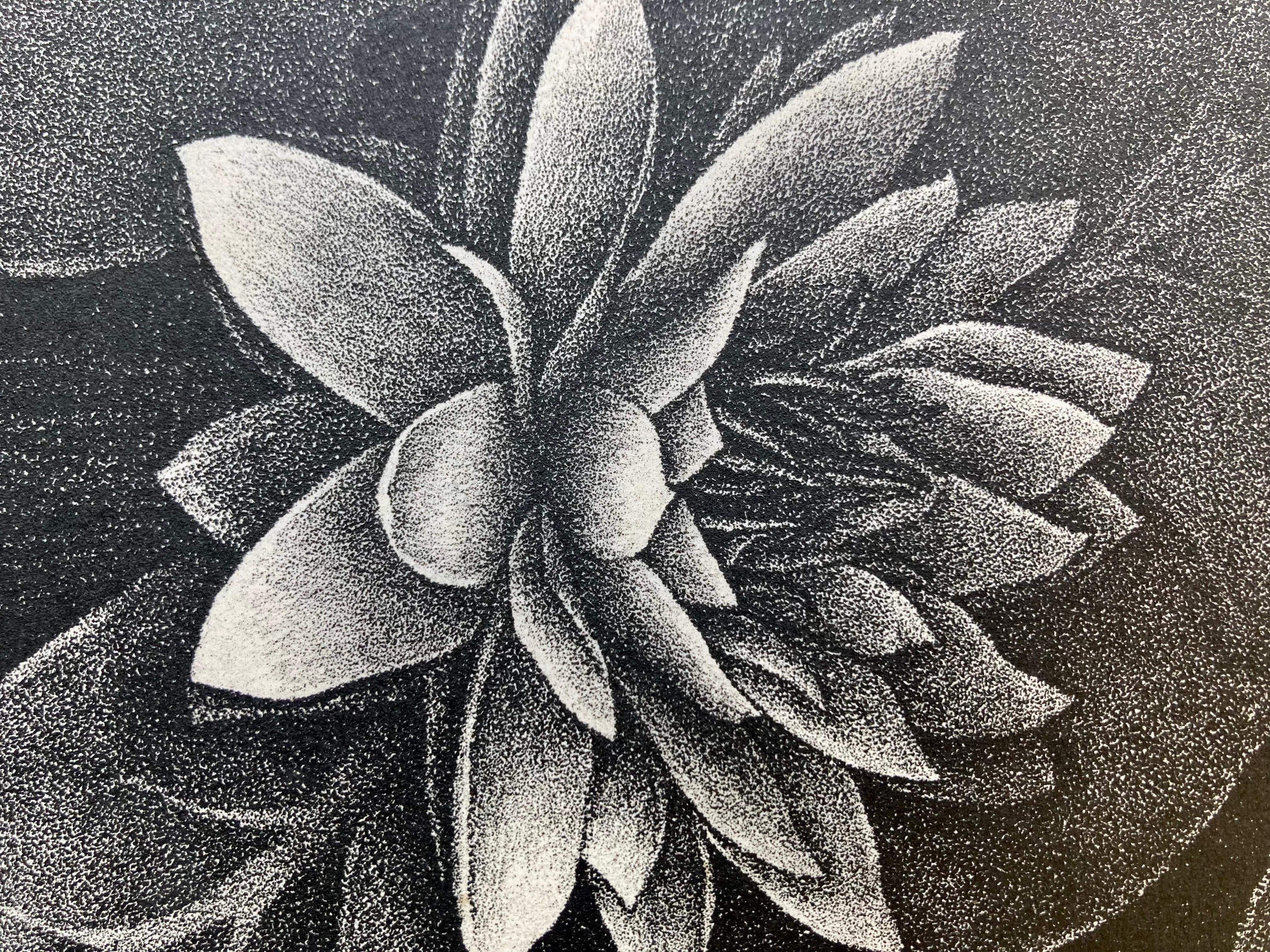 HENRIETTA SHORE (1880 -1963)

WATER LILY c. 1928
Lithograph, signed and titled in pencil and with the pencil cypher of printer Lynton Kistler (K). Image 7 x 6 1/8, full margins, sheet 12 ½ x 9 ½” # 20 is likely the edition size. # 18 in lower left