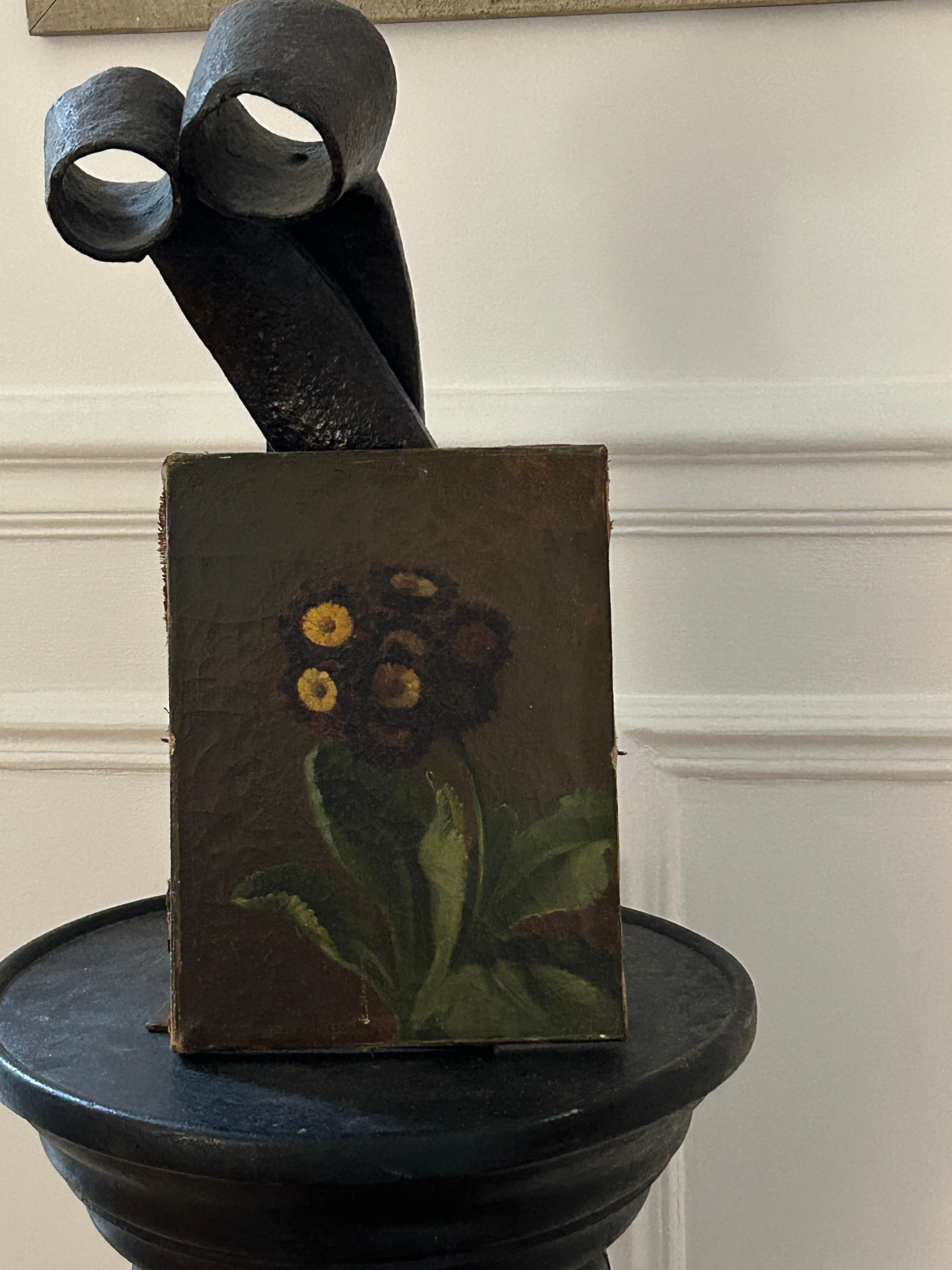 Primula pubescens ; Prímula pubescente, bodegón floral, óleo sobre lienzo - Painting de Henriette de Longchamp 