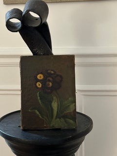 Primula pubescens ; Prímula pubescente, bodegón floral, óleo sobre lienzo