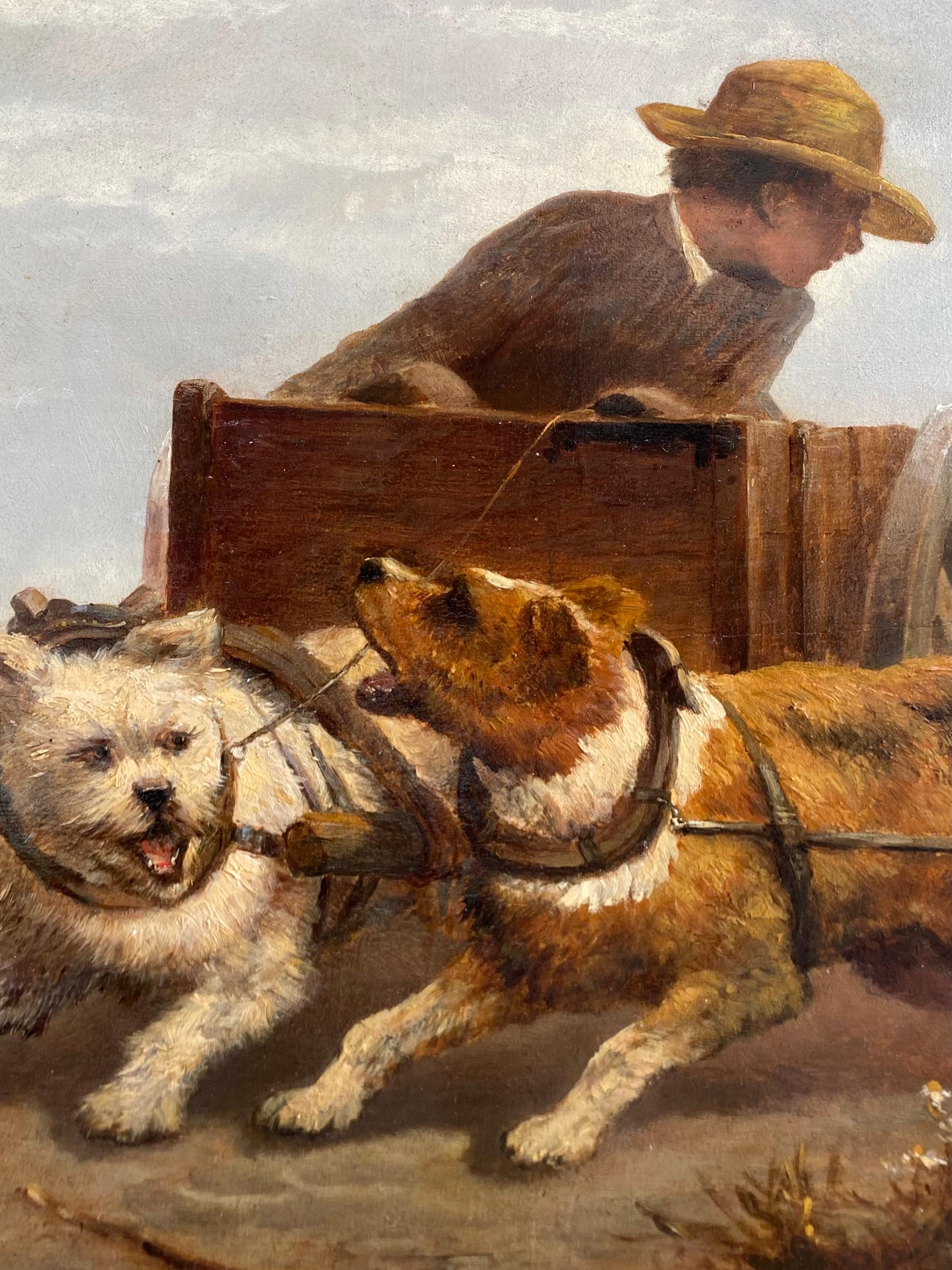 Junge im Hundewagen