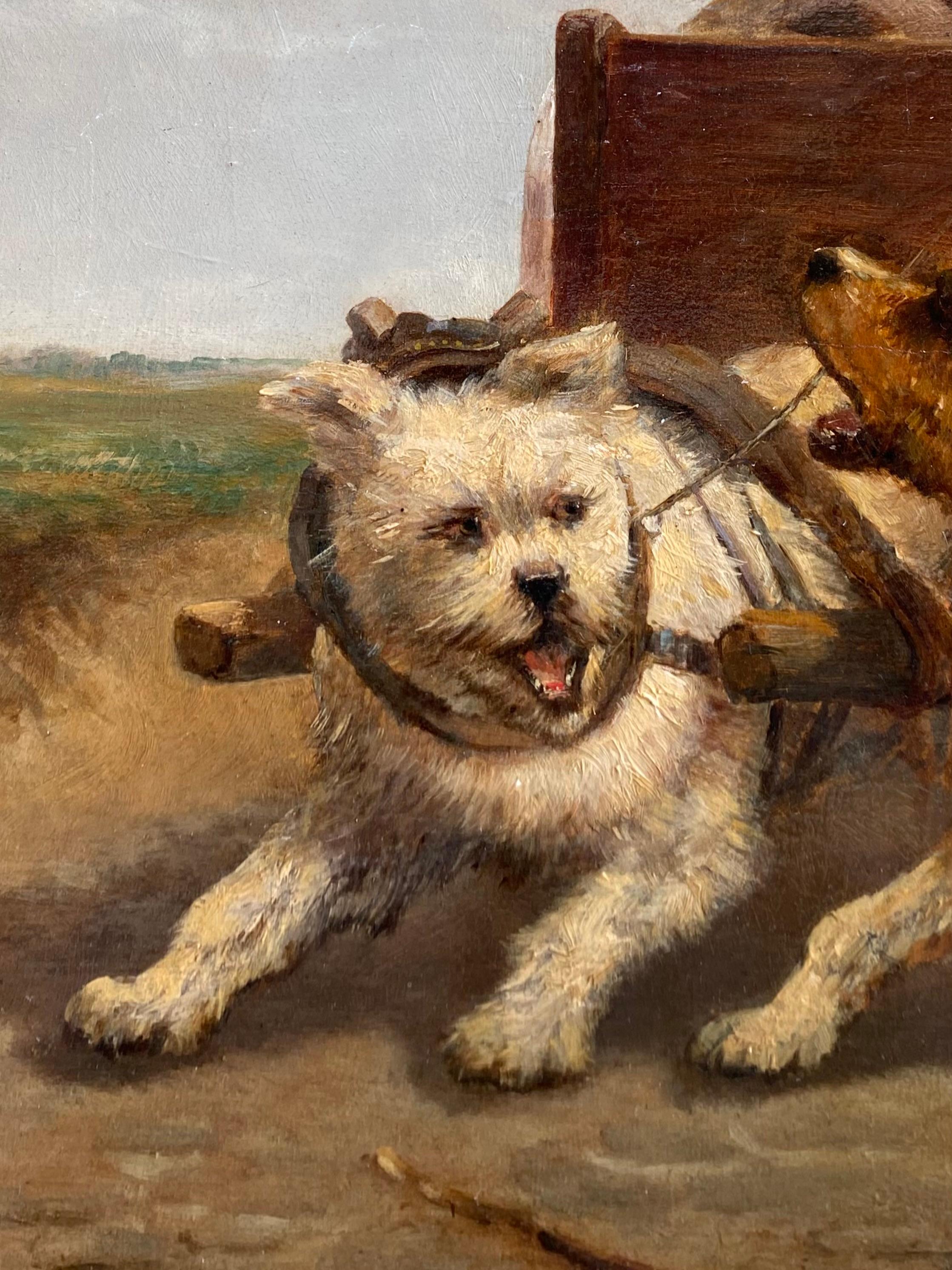 Junge im Hundewagen