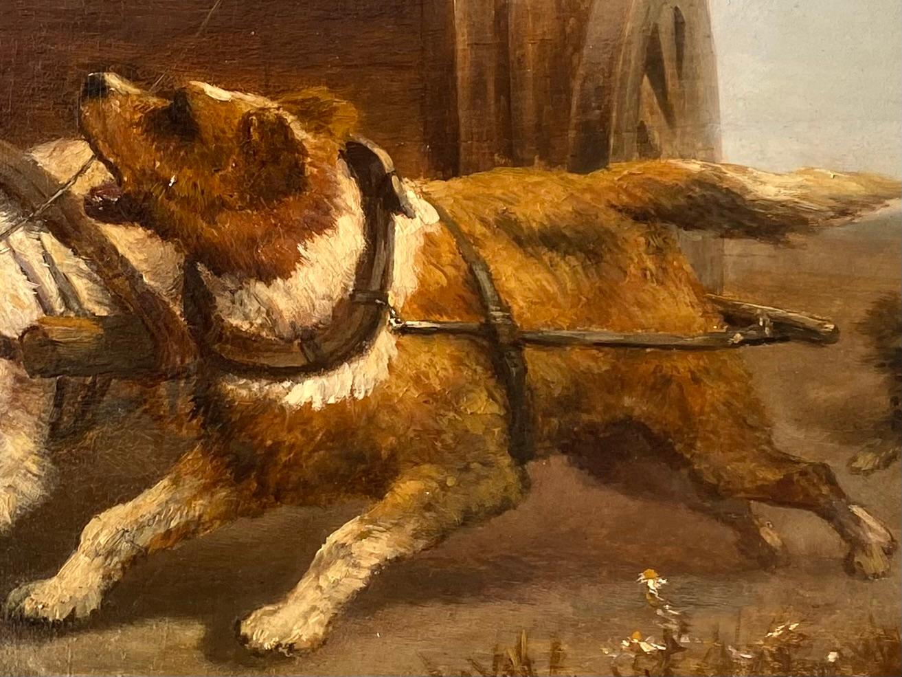 Junge im Hundewagen