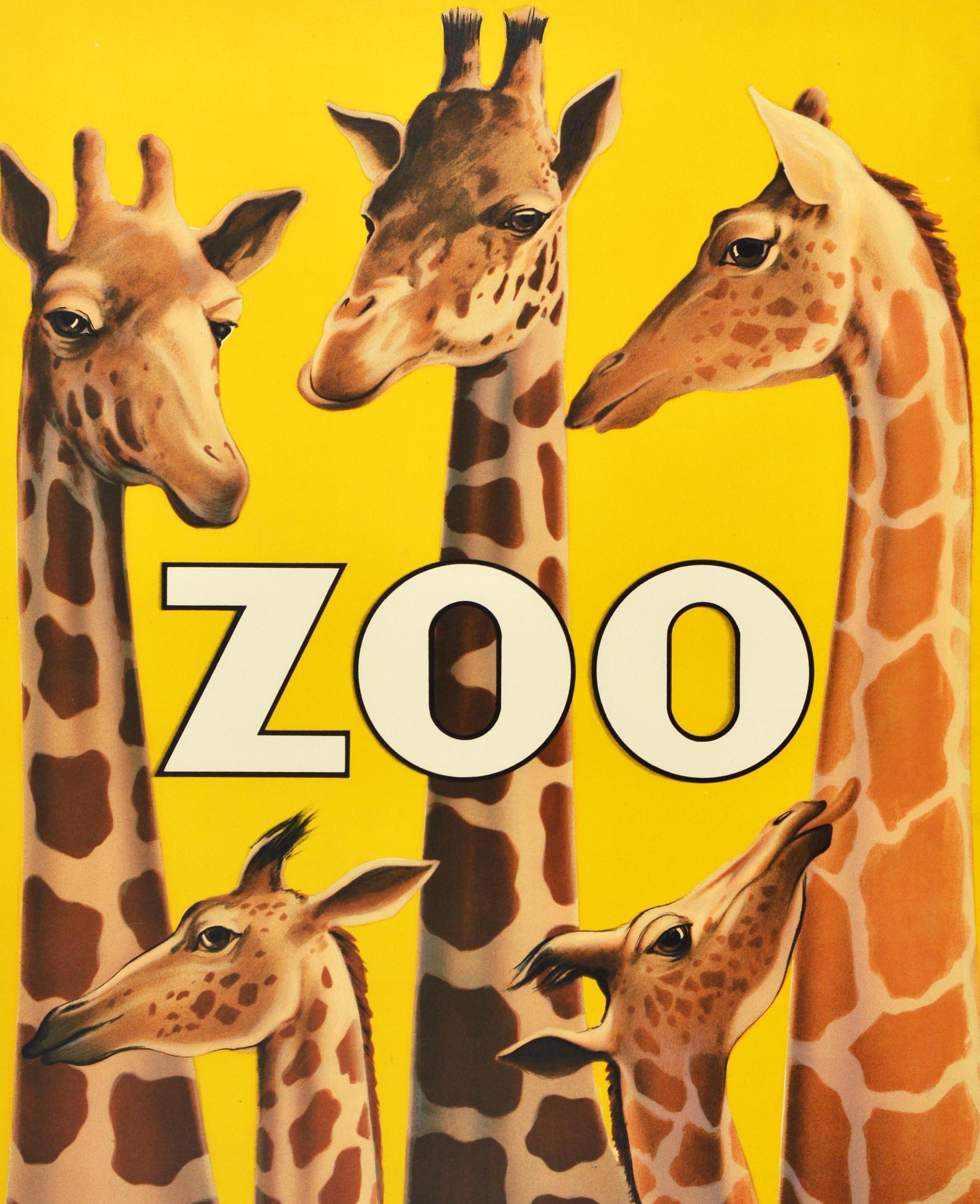 1938 giraffes san diego zoo