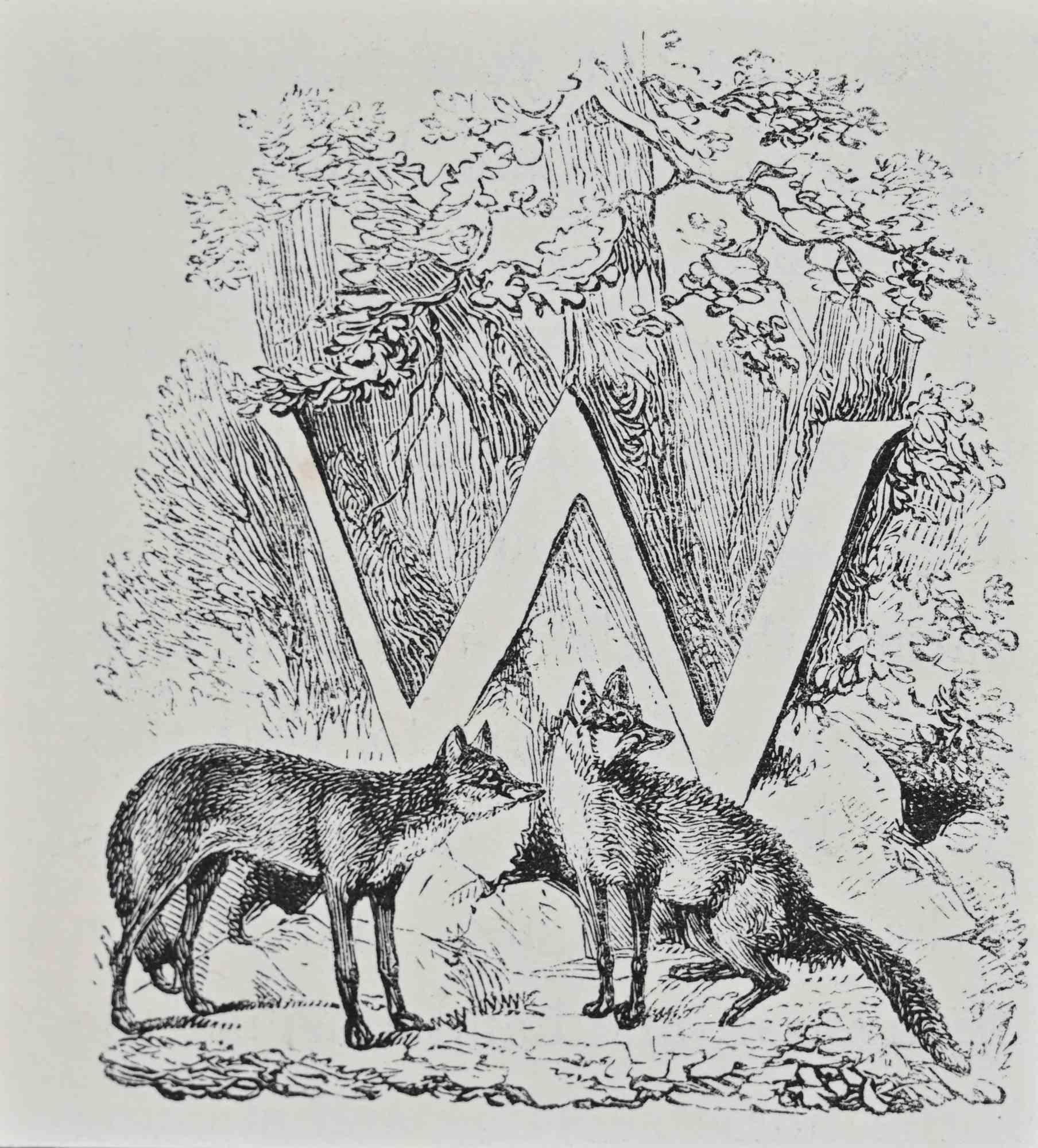 Black and white lithograph on paper.

Illustration for "The Analysis of the Hunting Field" by Henry Alken.

Not signed, as issued.

This finely observed sporting lithograph depicts a moment of tense stasis within the fox hunt: two foxes confront one