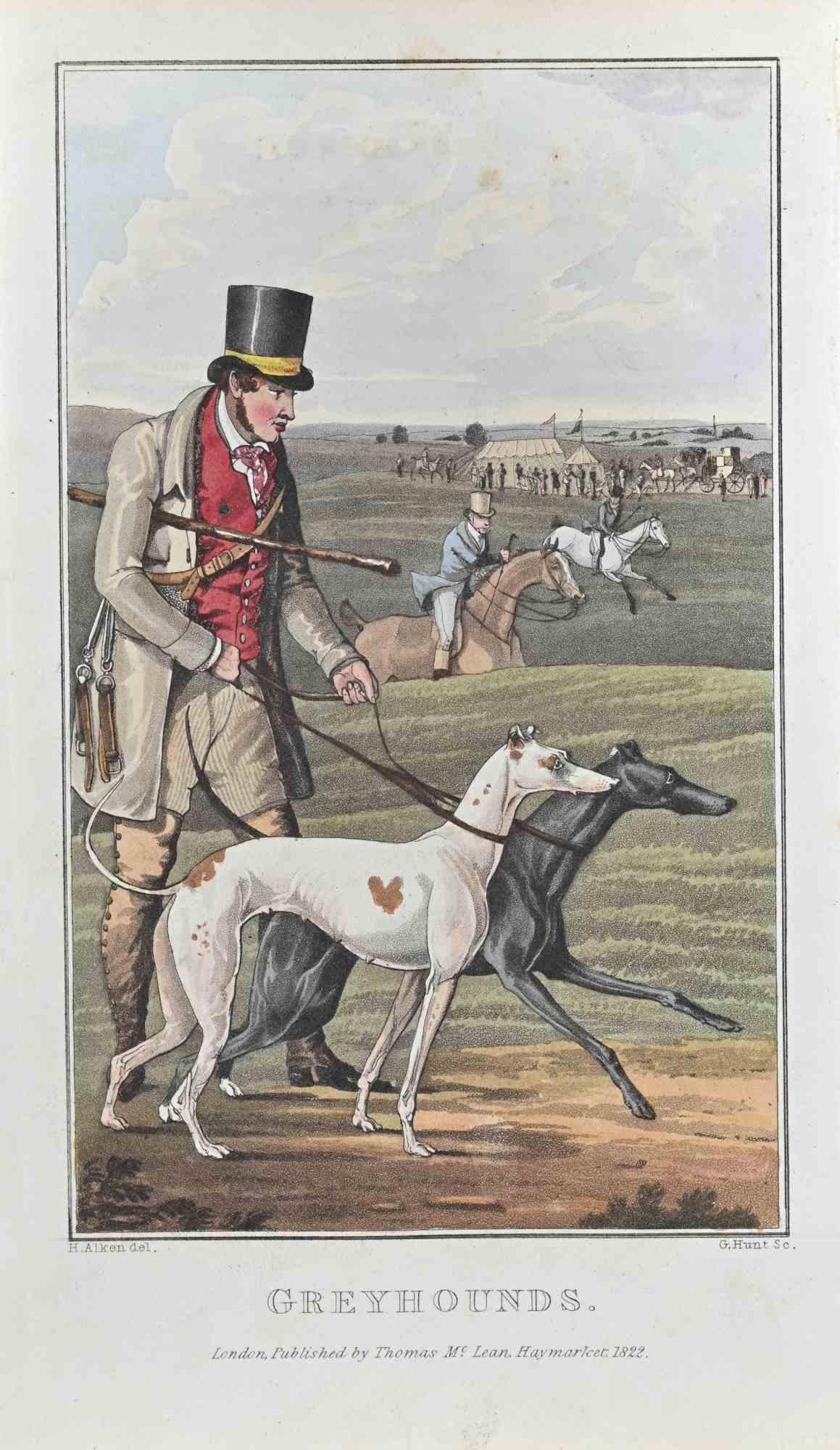 Greyhounds - Etching by Henry Alken - 1822