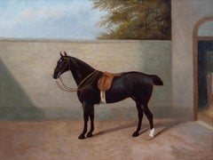 Portrait Of A Horse, 19th Century