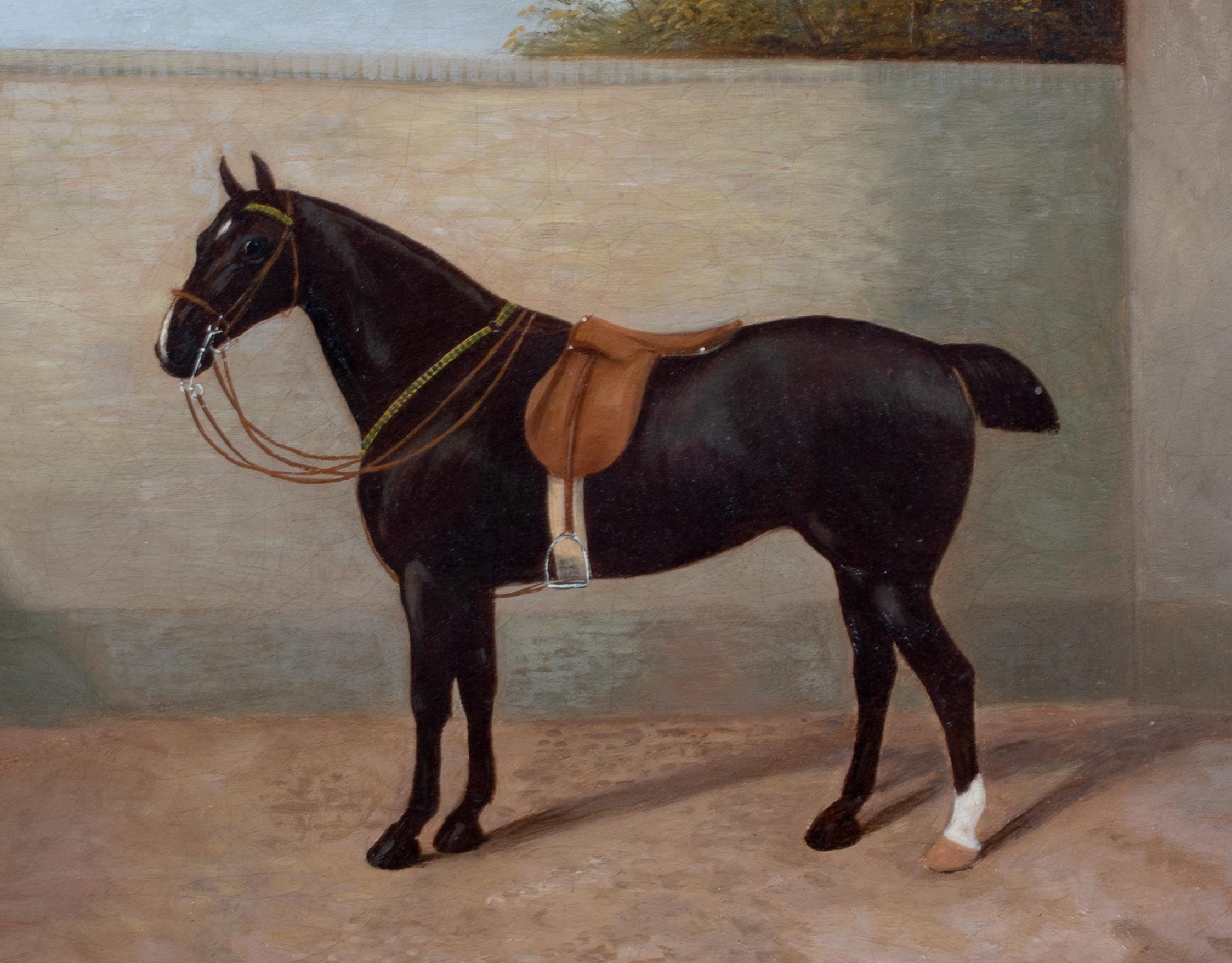 Portrait Of A Horse, 19th Century - Brown Portrait Painting by Henry Bernard Chalon