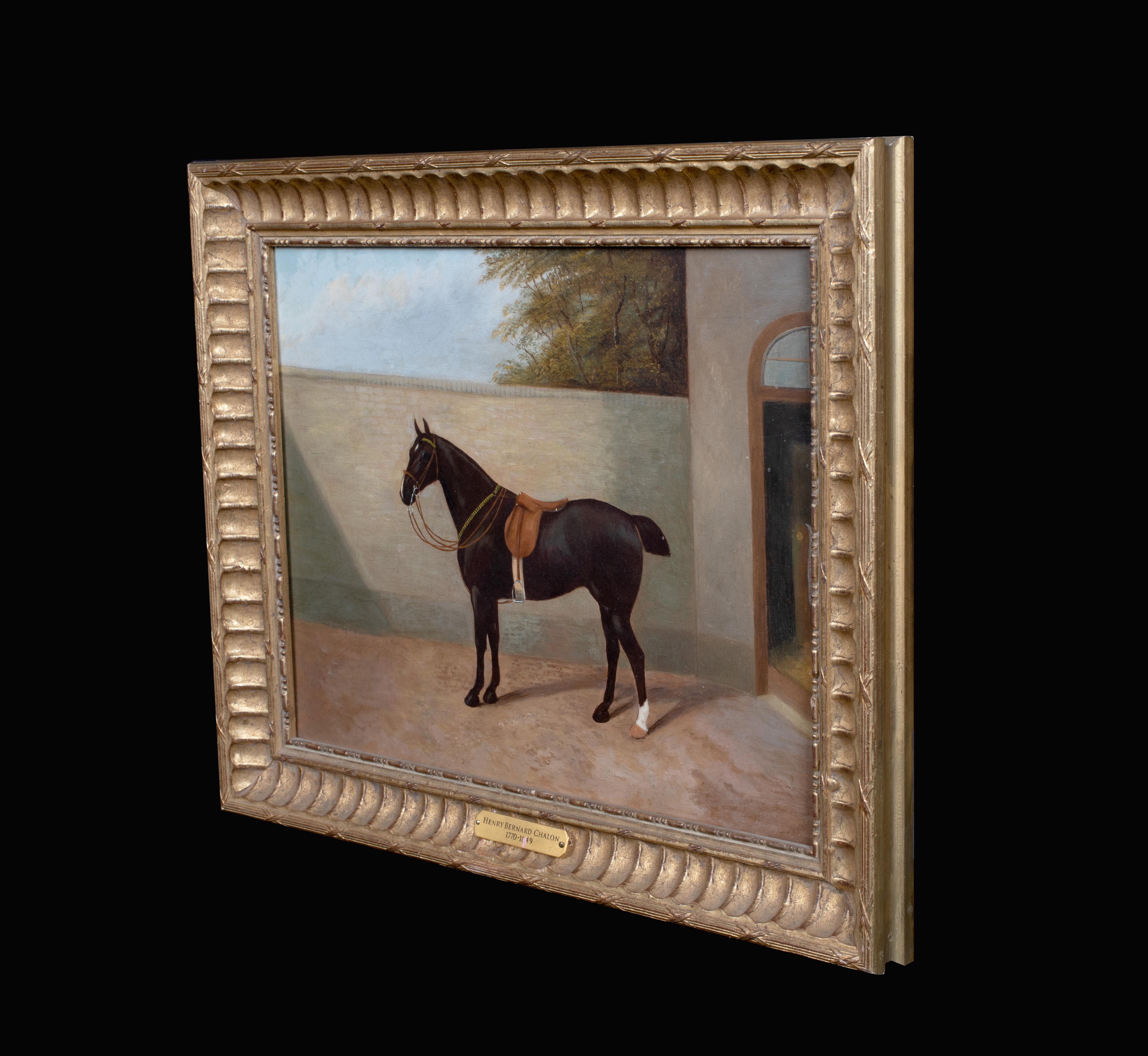 Portrait Of A Horse, 19th Century 1