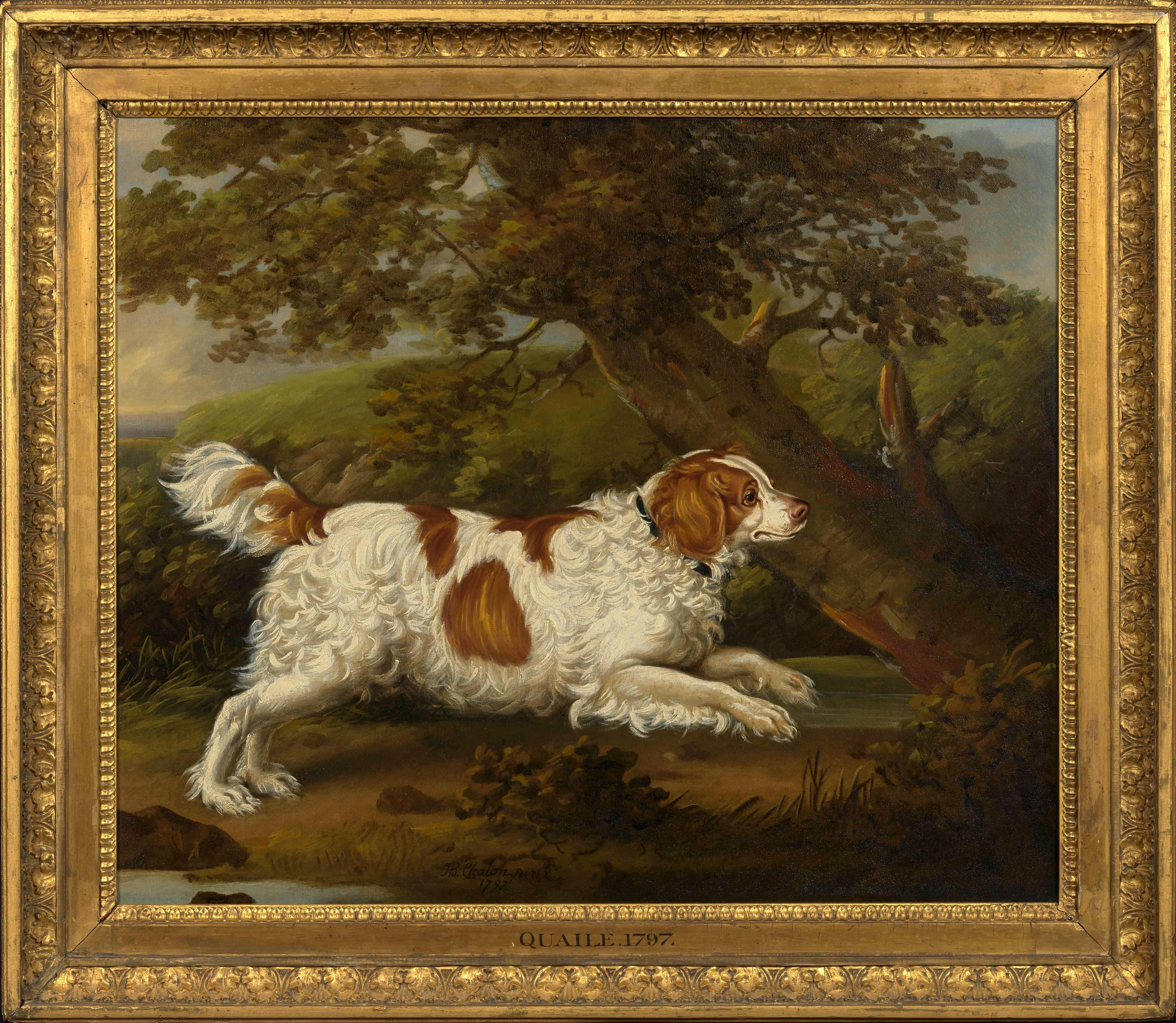 Henry Bernard Chalon Animal Painting - "Quaile", an English spaniel in a wooded landscape