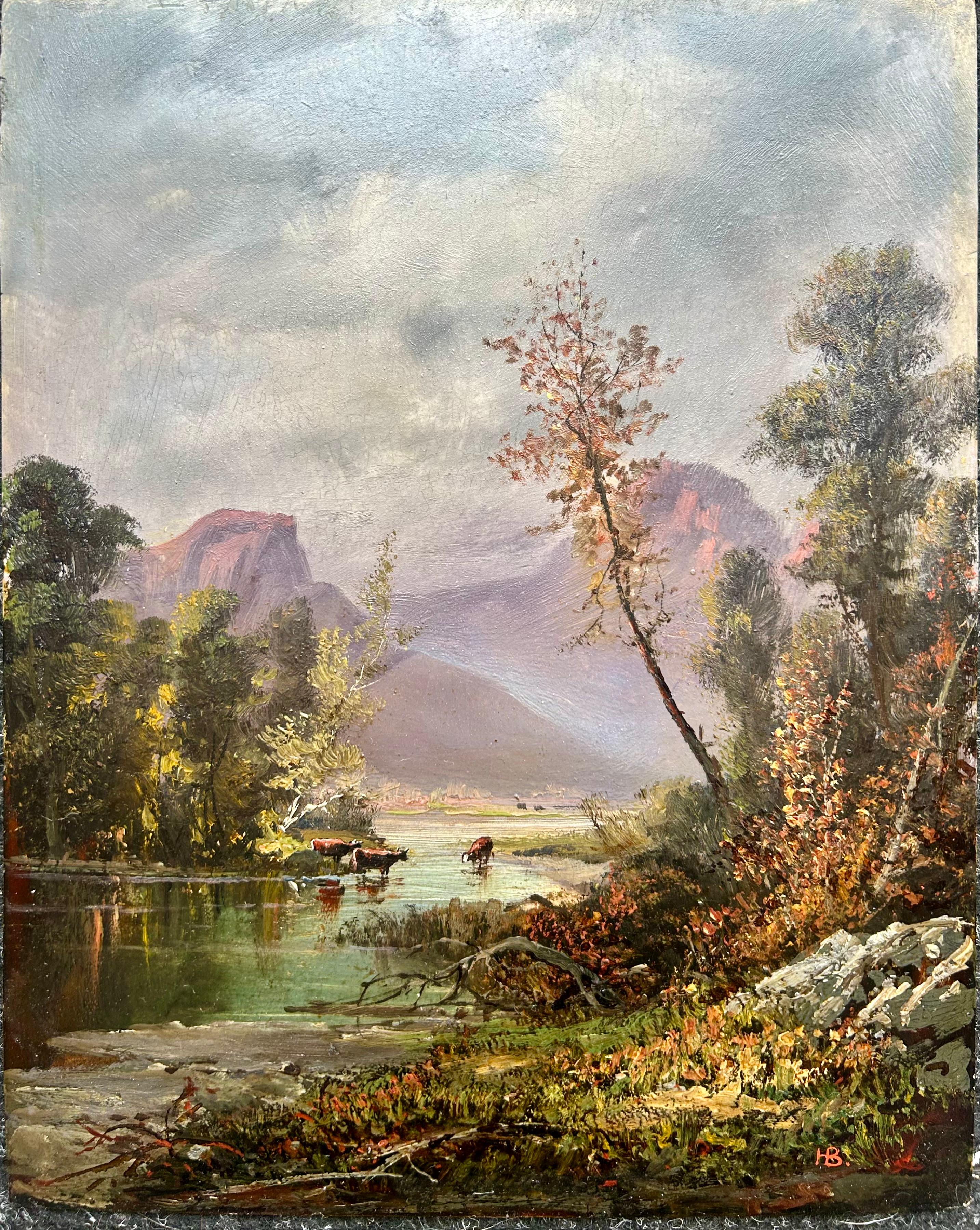 Arroyo de montaña