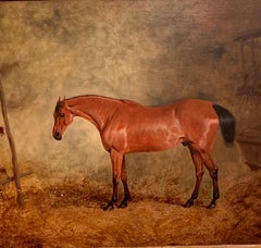 Cavallo antico inglese del 19° secolo in una scuderia, chiamato Business