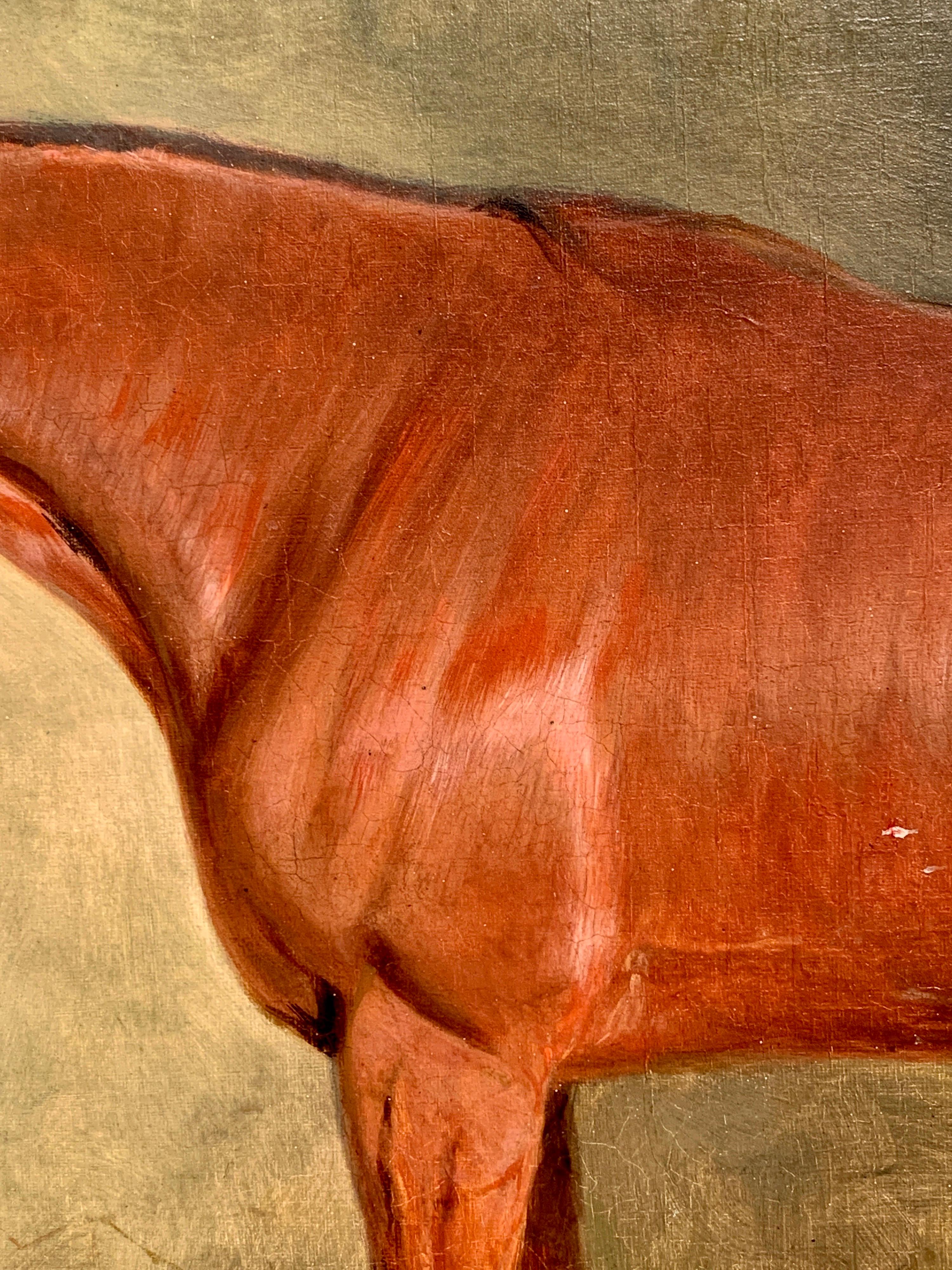 19th Century English Antique Bay Hunter horse in a stable, called Business  - Victorian Painting by Henry Calvert