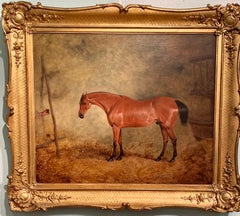 19th Century English Used Bay Hunter horse in a stable, called Business 