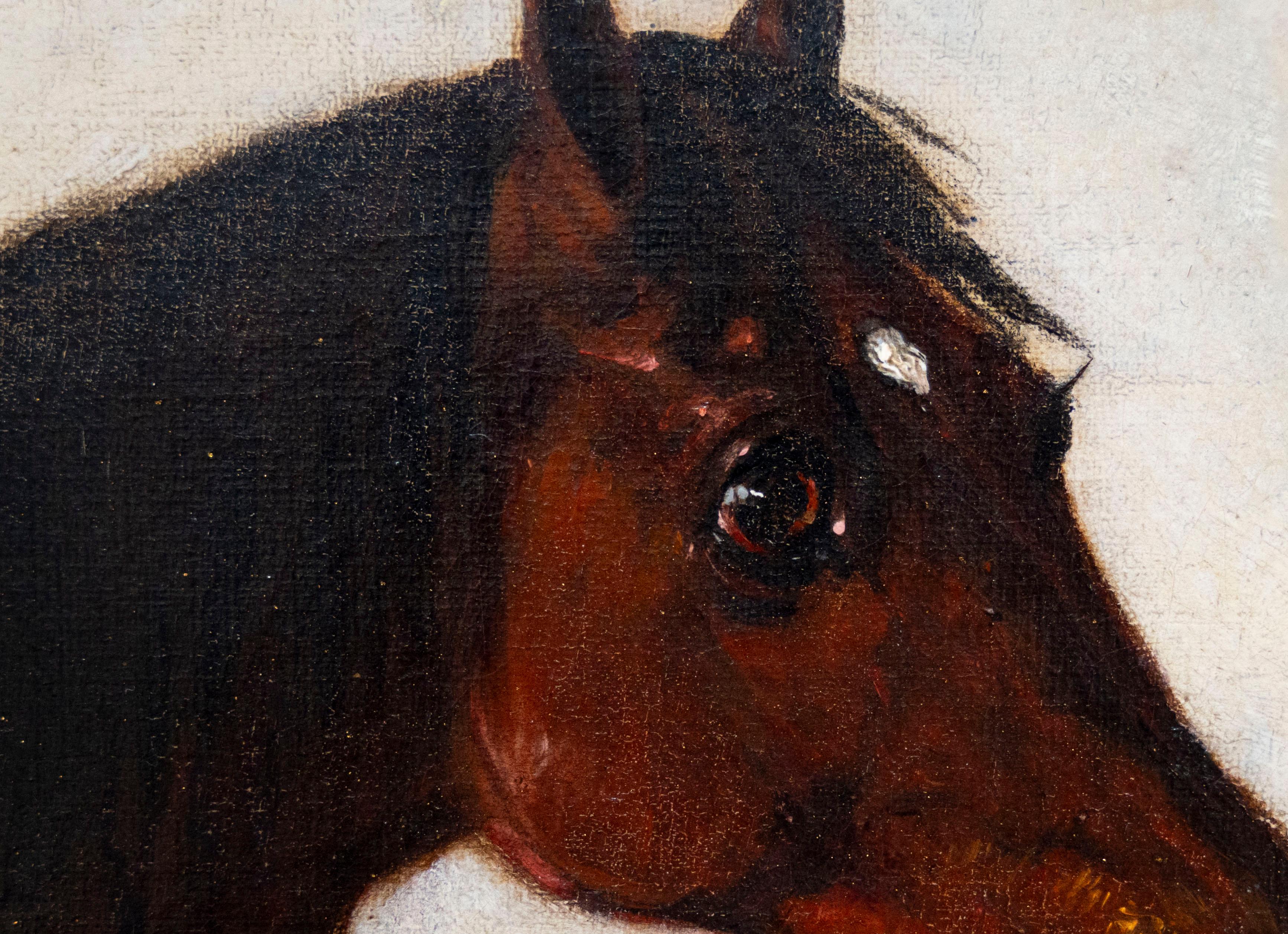 Arab stallion in a landscape. Henry Calvert (British 1798-1869) im Angebot 2