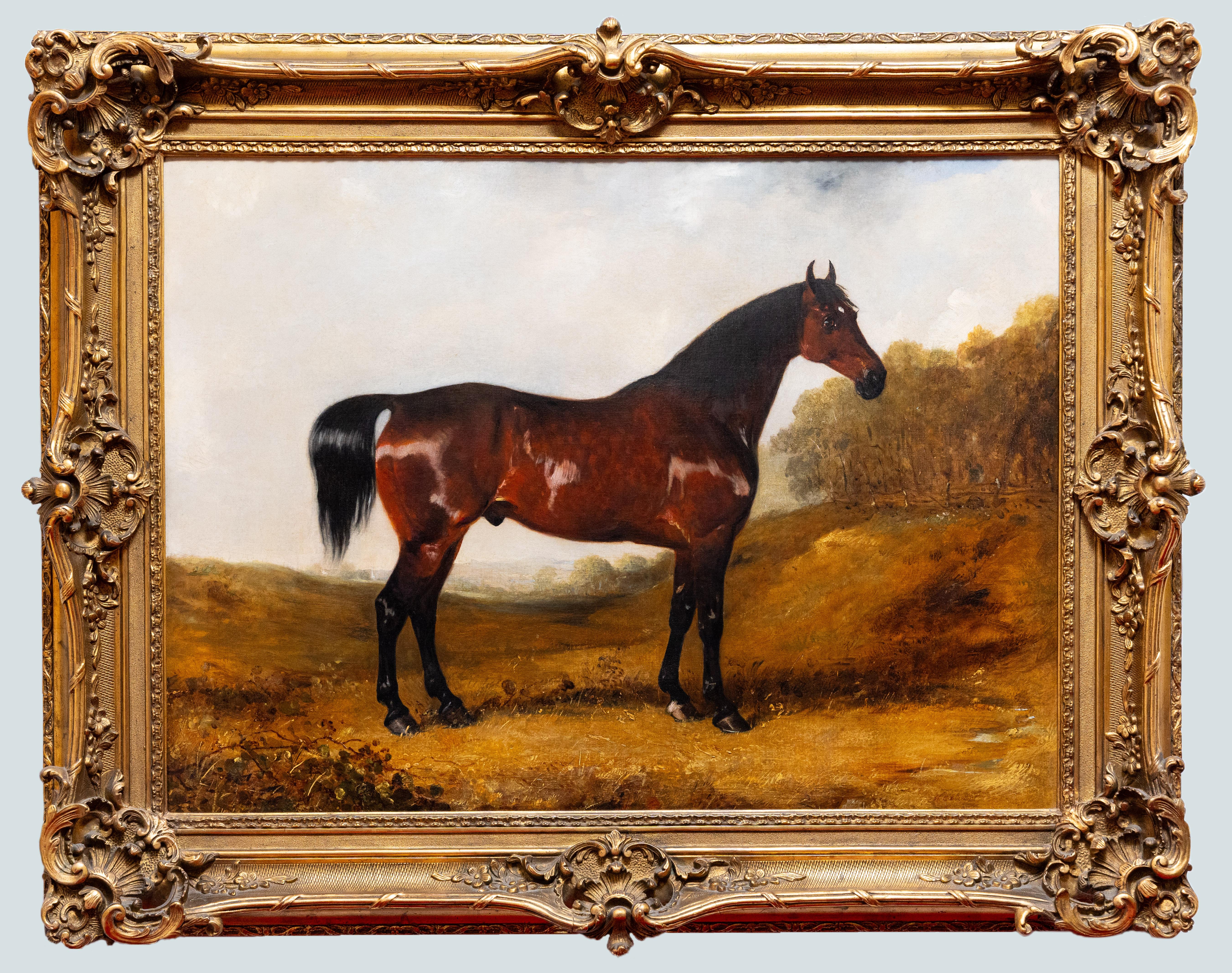 Dieses signierte Gemälde von Henry Calvert ist ein beeindruckendes Beispiel der englischen Reitkunst des 19. Jahrhunderts. Jahrhunderts. Das Kunstwerk zeigt einen majestätischen Araberhengst vor einer weitläufigen, natürlichen Landschaft und betont