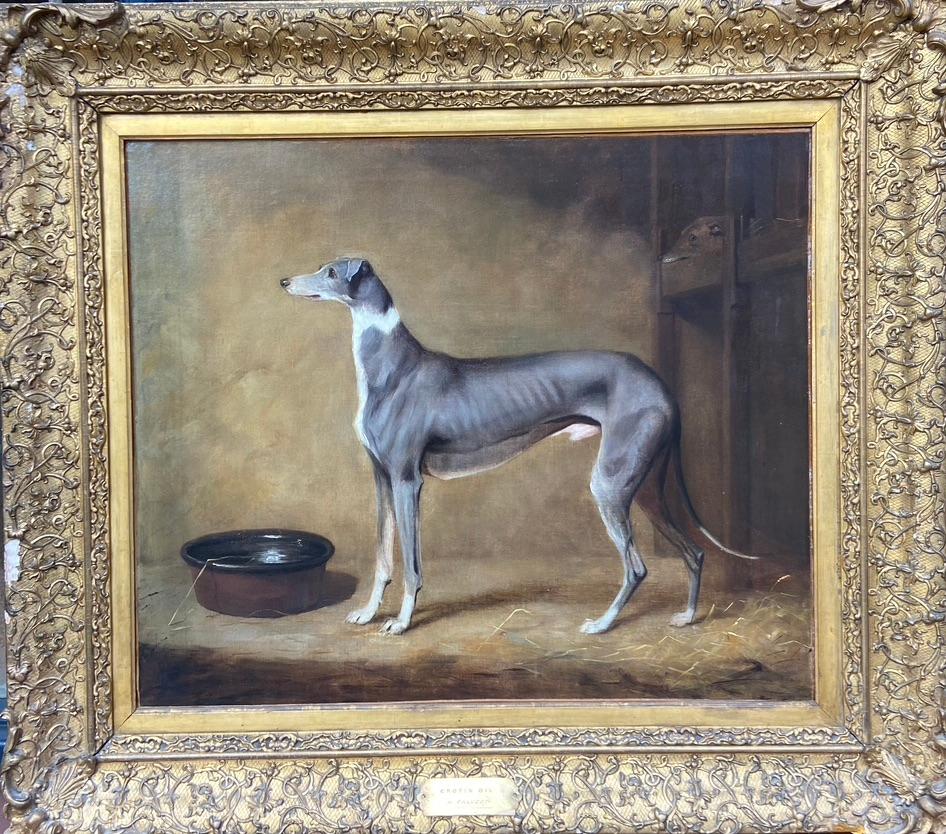 Henry Calvert Animal Painting - Elegant portrait of a Greyhound 