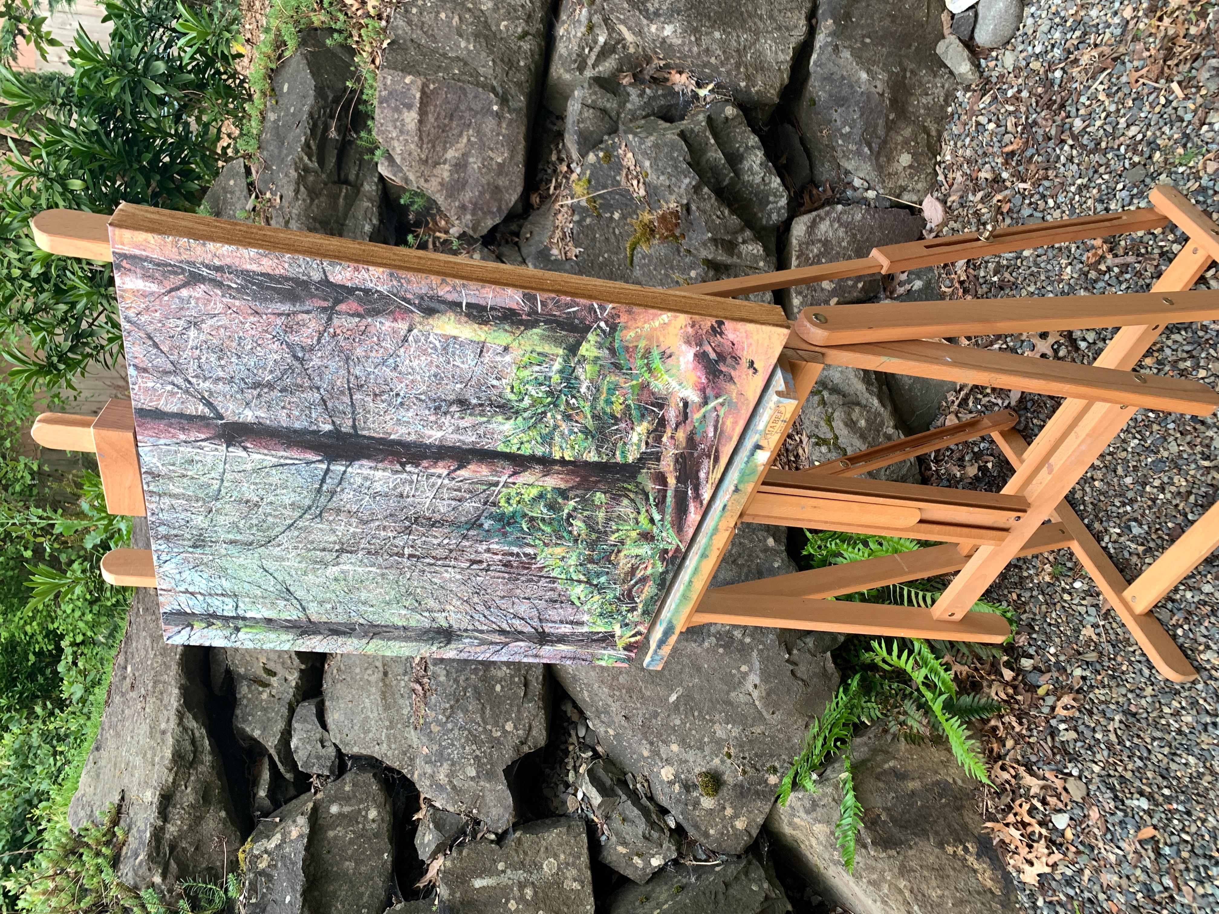 Cascate di Porter Creek, 3, dipinto originale - Art Realismo di Henry Caserotti
