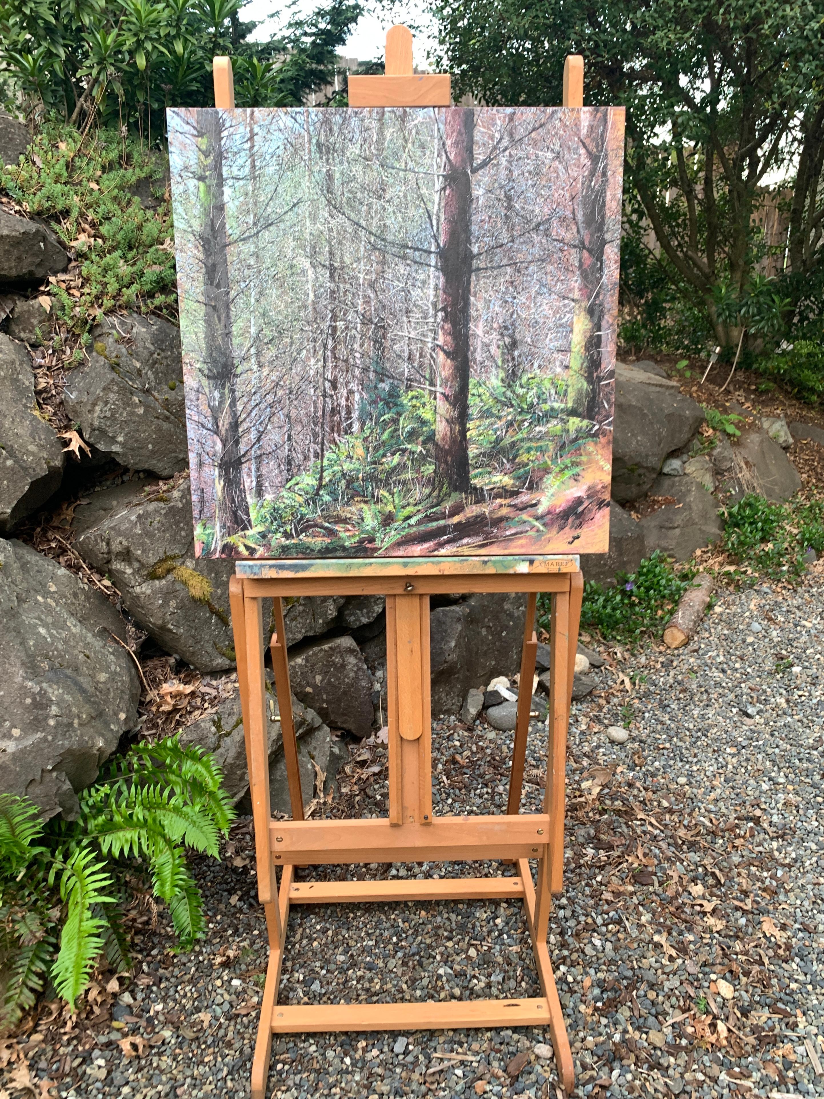 <p>Commenti dell'artista<br />Nella parte occidentale di Washington, tra il monte Rainier e l'Oceano Pacifico, il Porter Creek scorre sotto un'alta chioma di conifere, serpeggiando tra colline e felci. In una breve serie di quattro dipinti,
