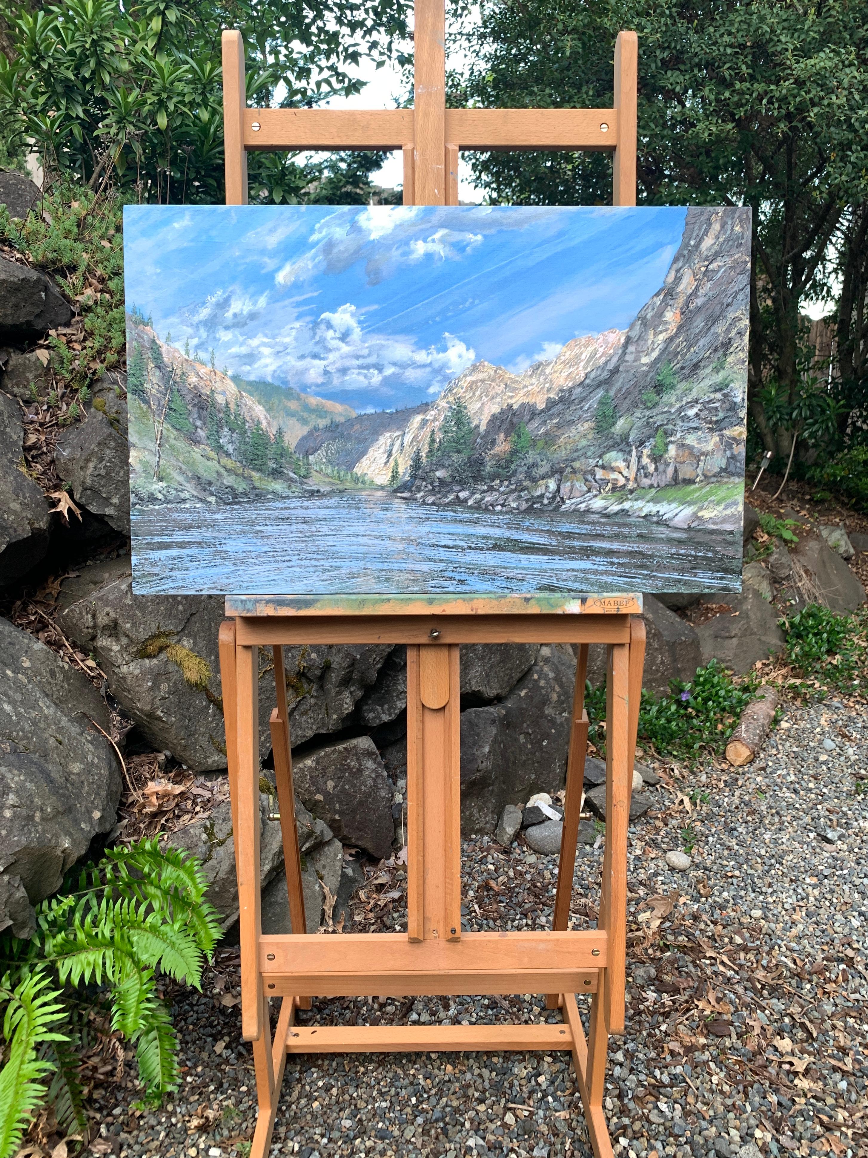 <p>Commenti dell'artista<br>Il fiume Salmon scorre attraverso la natura selvaggia in una delle aree più remote dei 48 Stati Uniti. Le sue acque nascono come scioglimento della neve dalle montagne più alte dell'Idaho, per poi unirsi al fiume Snake e