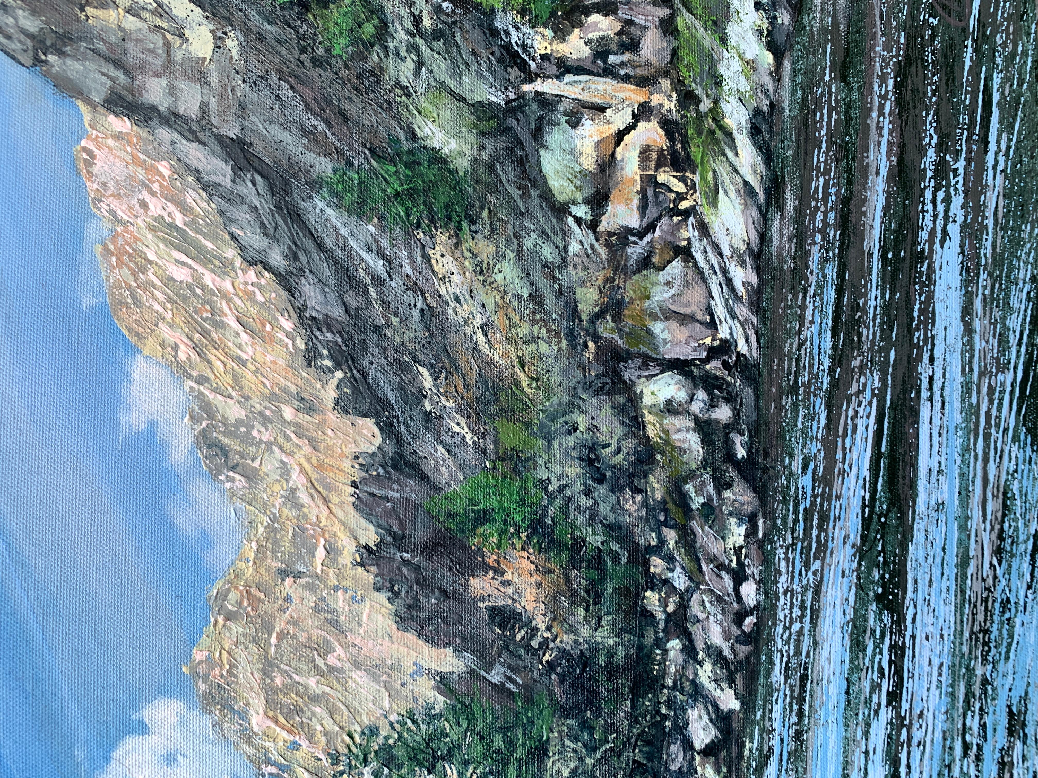 Vista sul fiume Salmon, dipinto originale 1