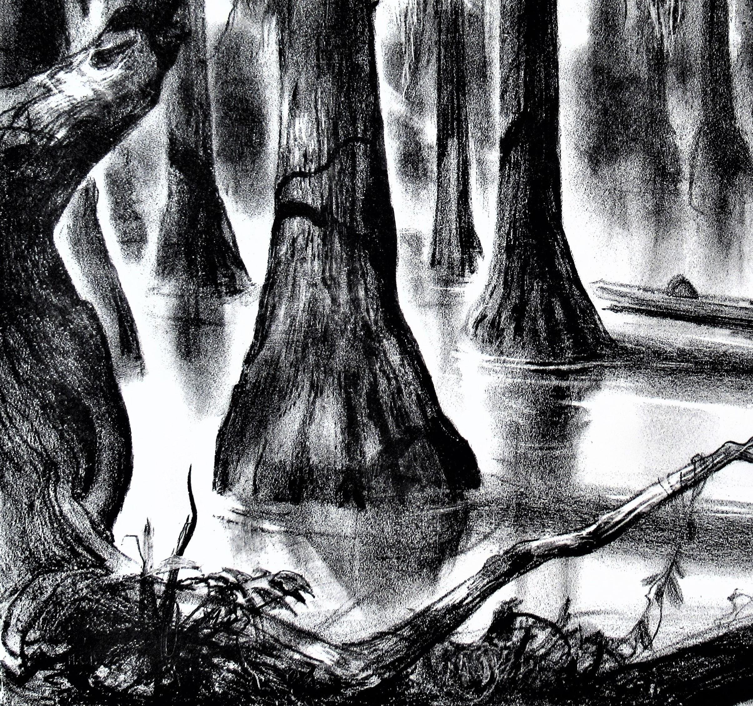 swamp sketch