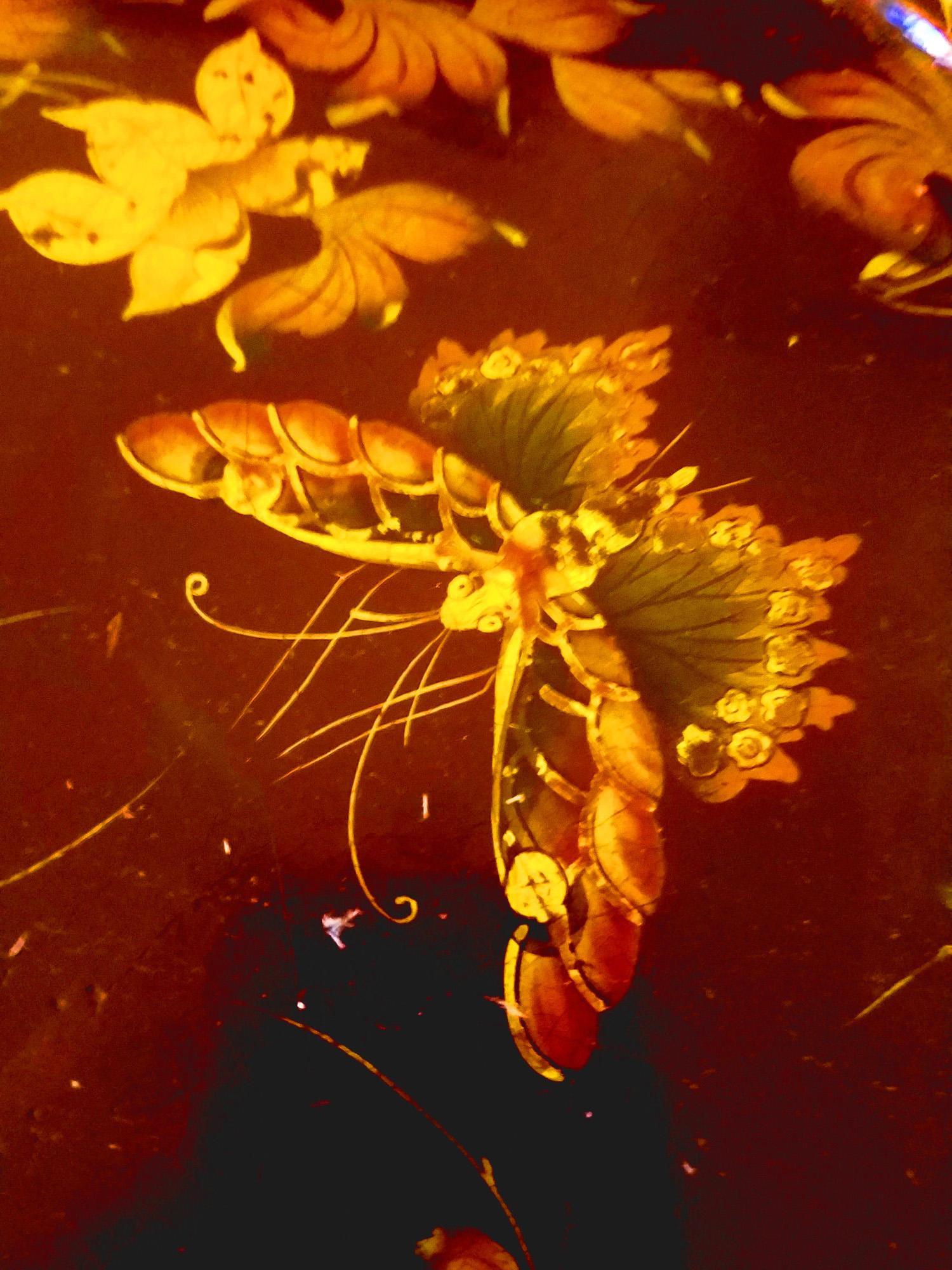 Henry Clay Papier Mâché Lacquered Tray and Base For Sale 5