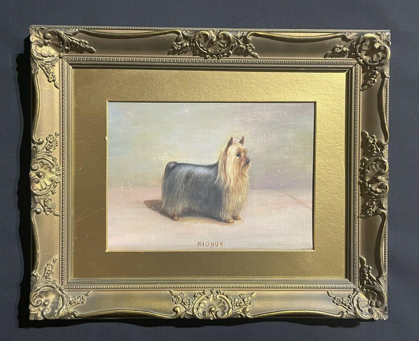 yorkshire terrier 1900
