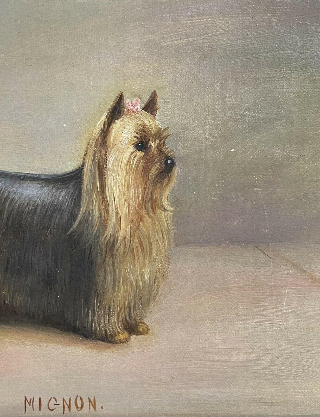 english yorkshire terrier