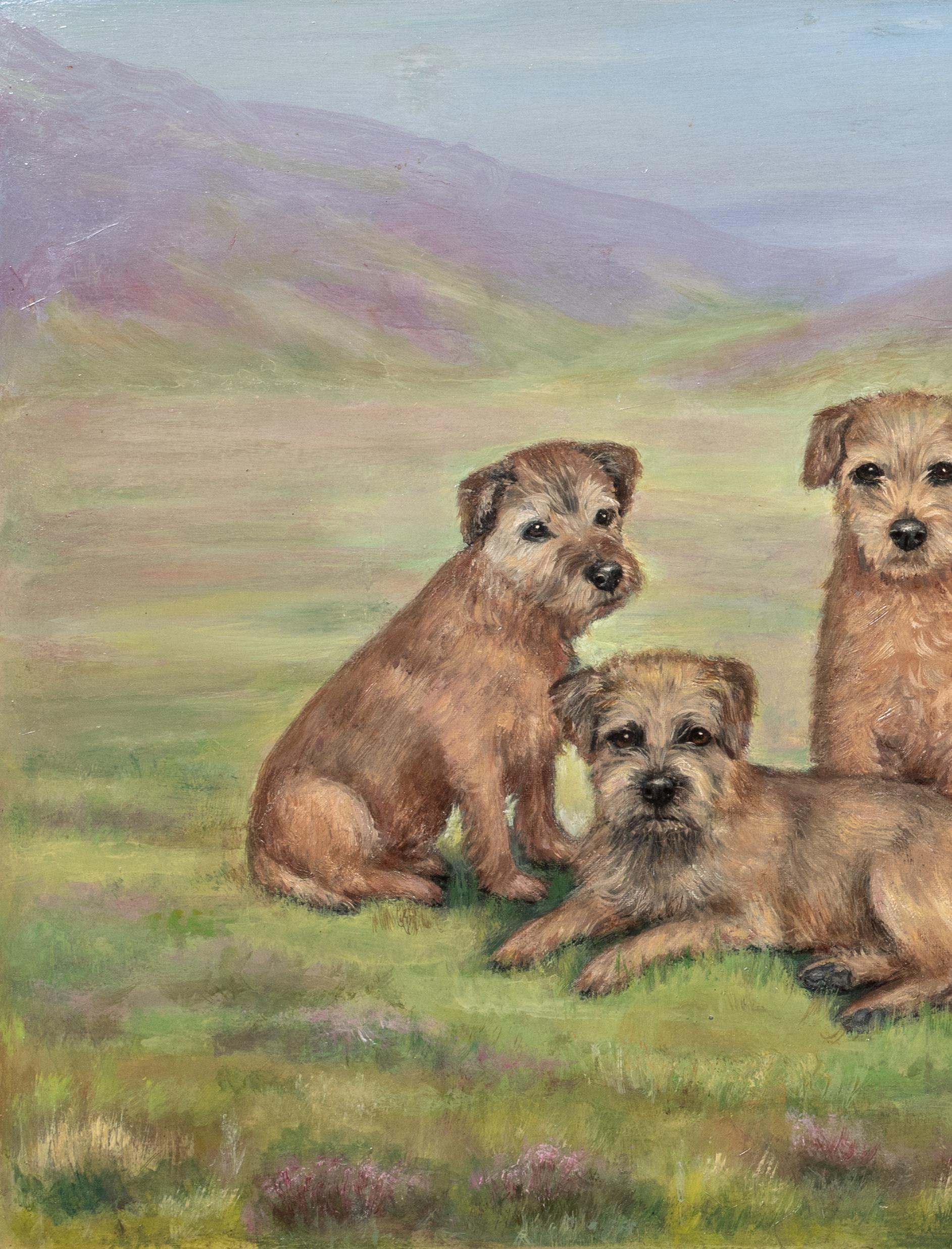 CIRCA 1910 Englisches Hundeporträt von Border Terrier Hunden im Angebot 6