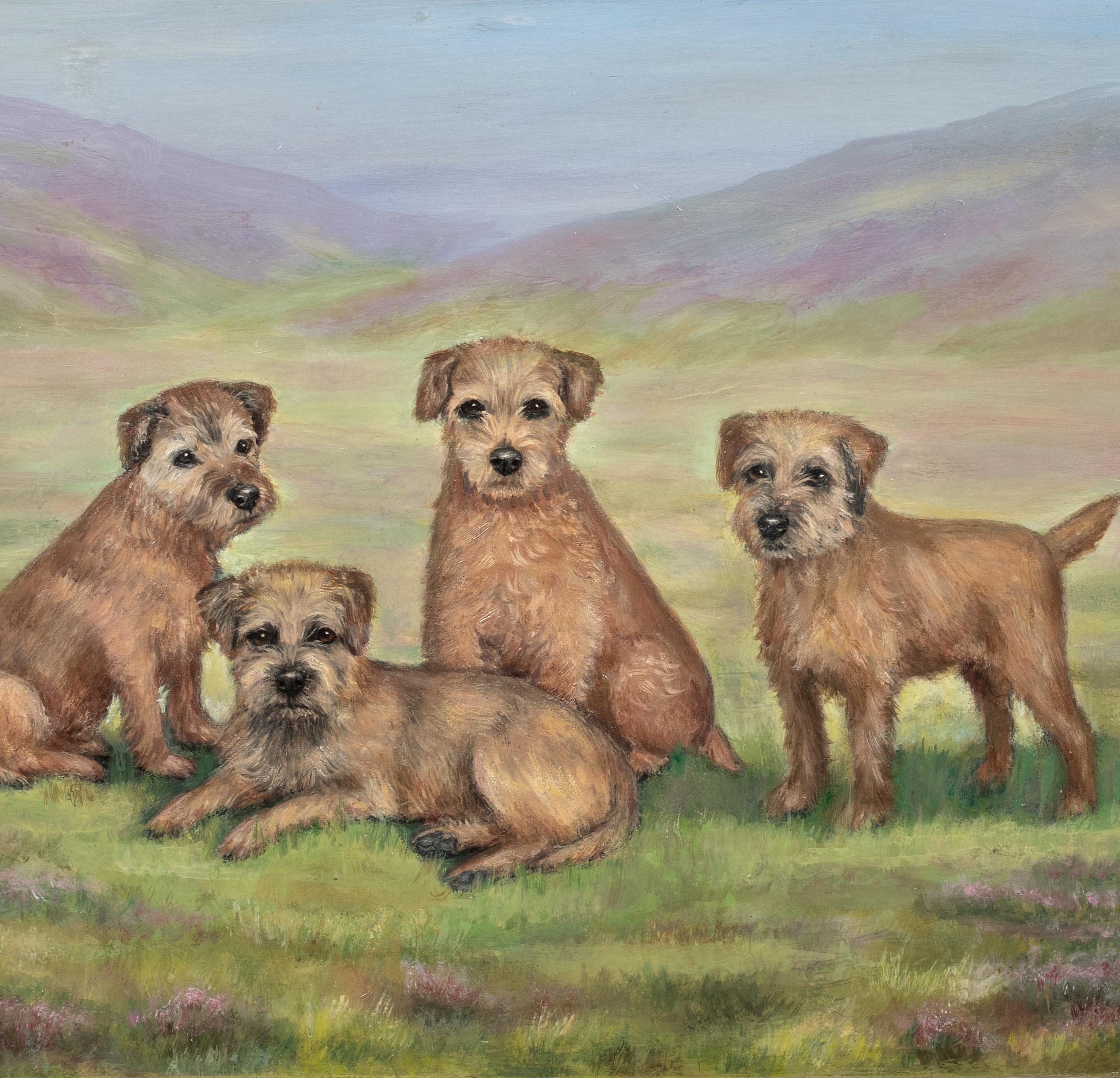 CIRCA 1910 Englisches Hundeporträt von Border Terrier Hunden im Angebot 3