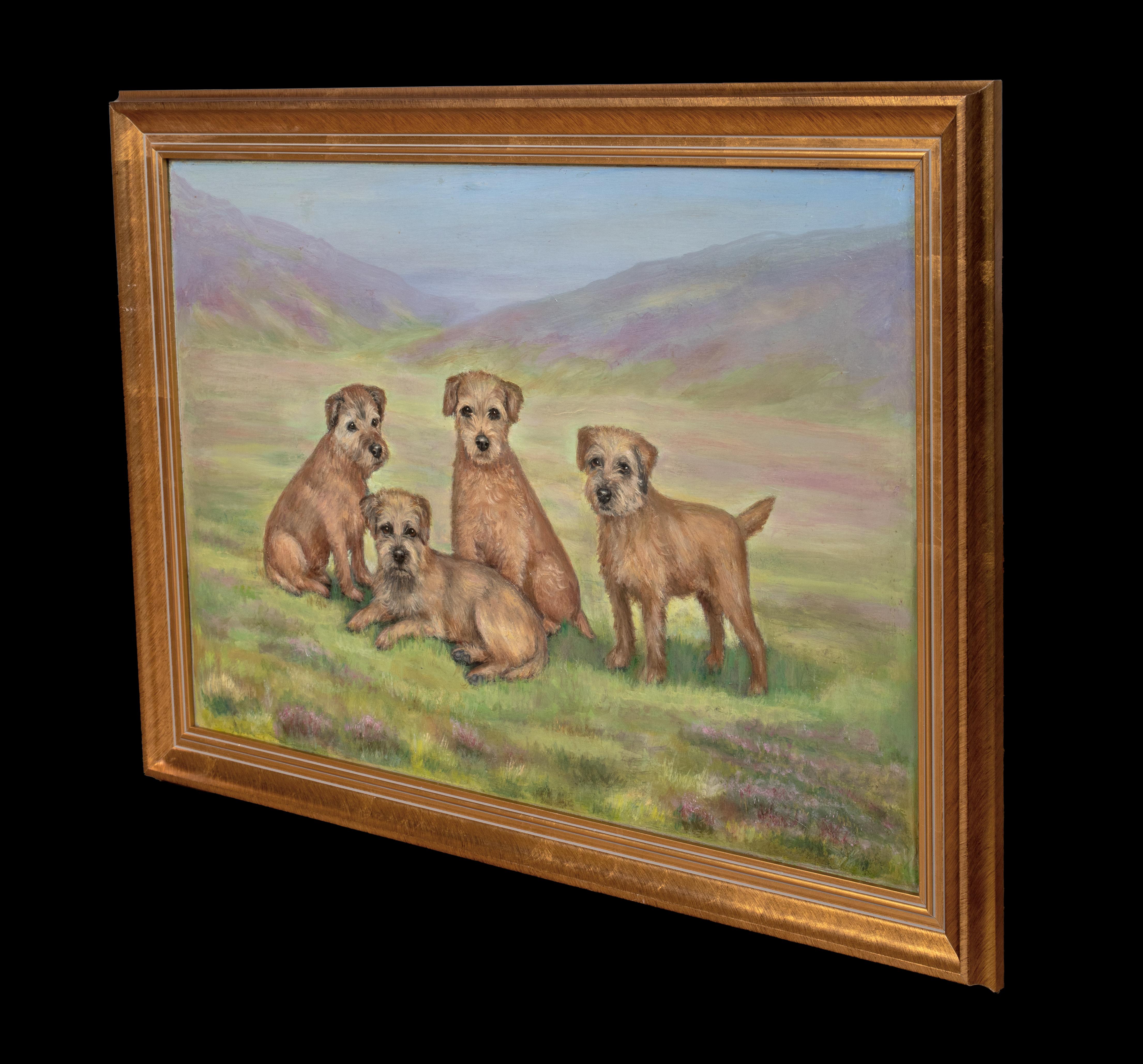 CIRCA 1910 Englisches Hundeporträt von Border Terrier Hunden im Angebot 4