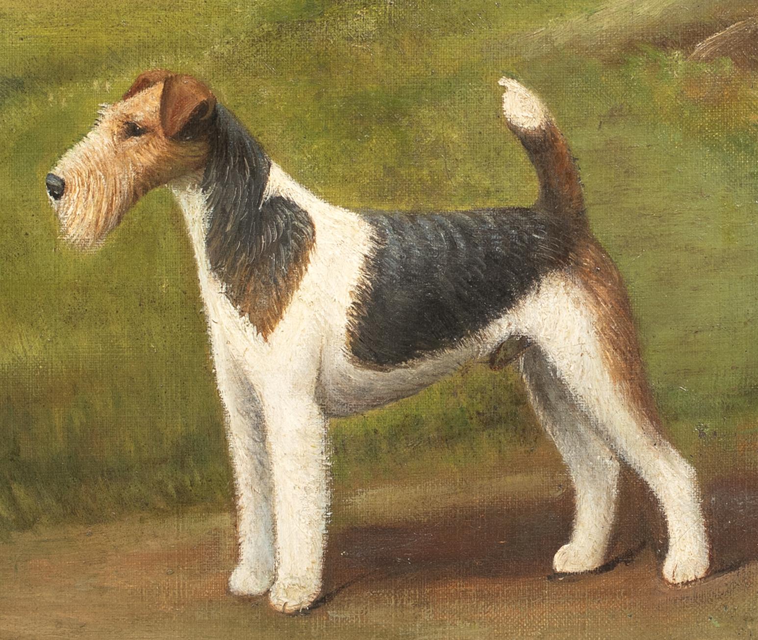 Ritratto di un Fox Terrier a pelo corto, XIX secolo  di Henry Crowther circa 1935 9