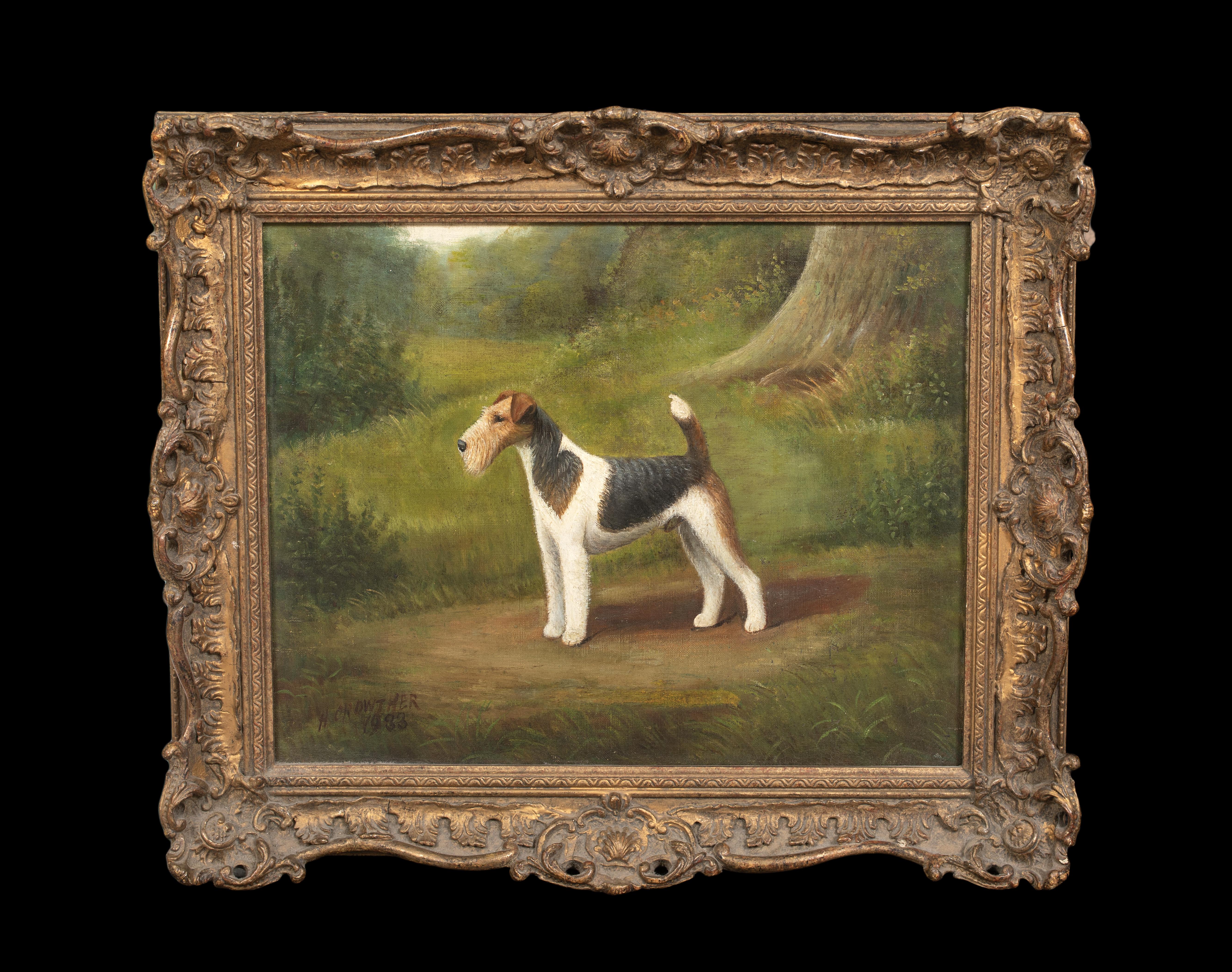 Ritratto di un Fox Terrier a pelo corto, XIX secolo  di Henry Crowther circa 1935 1