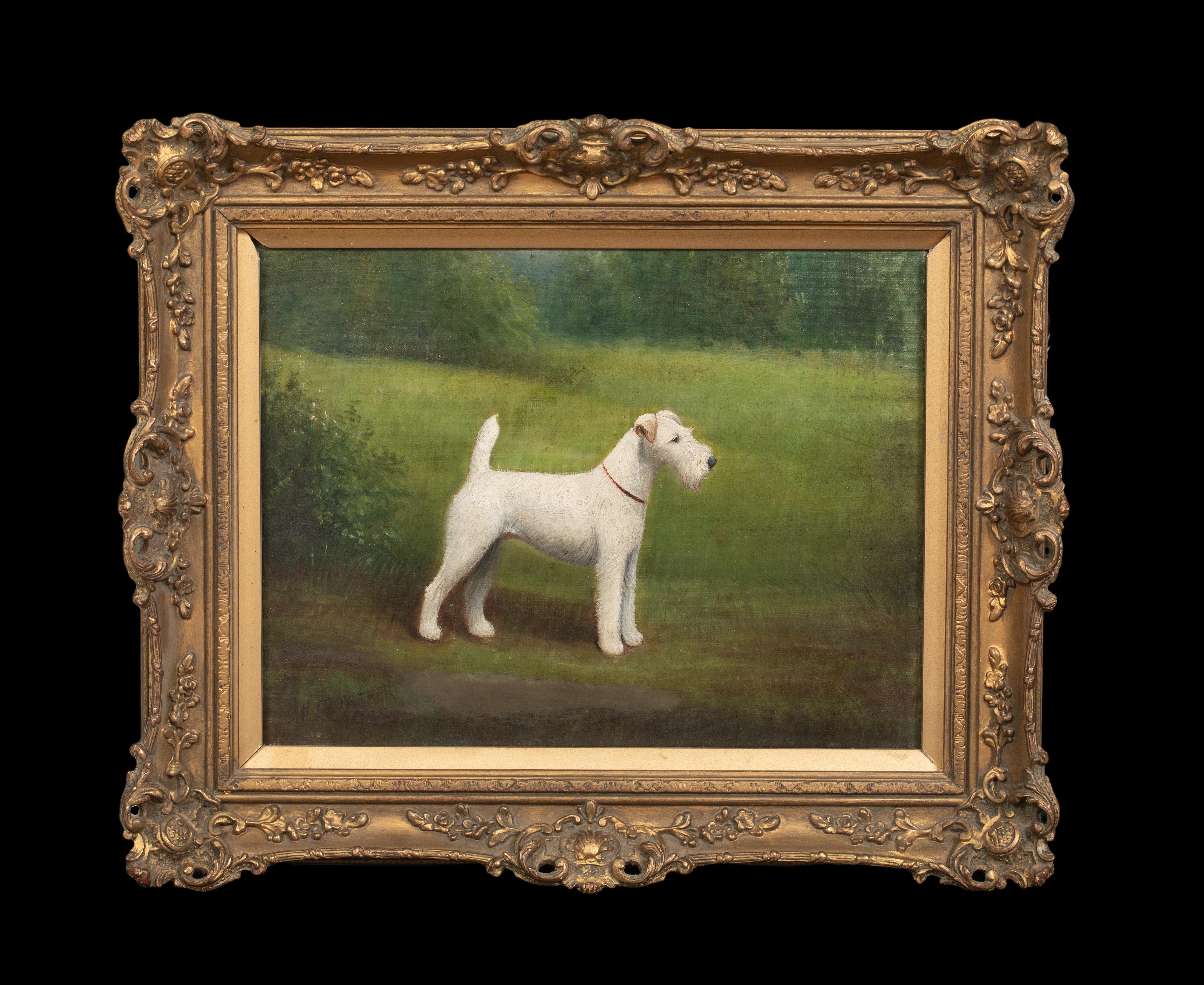 Porträt eines Fuch Terriers aus Drahthaar, 19. Jahrhundert  von Henry CROWTHER um 1935 – Painting von Henry Crowther
