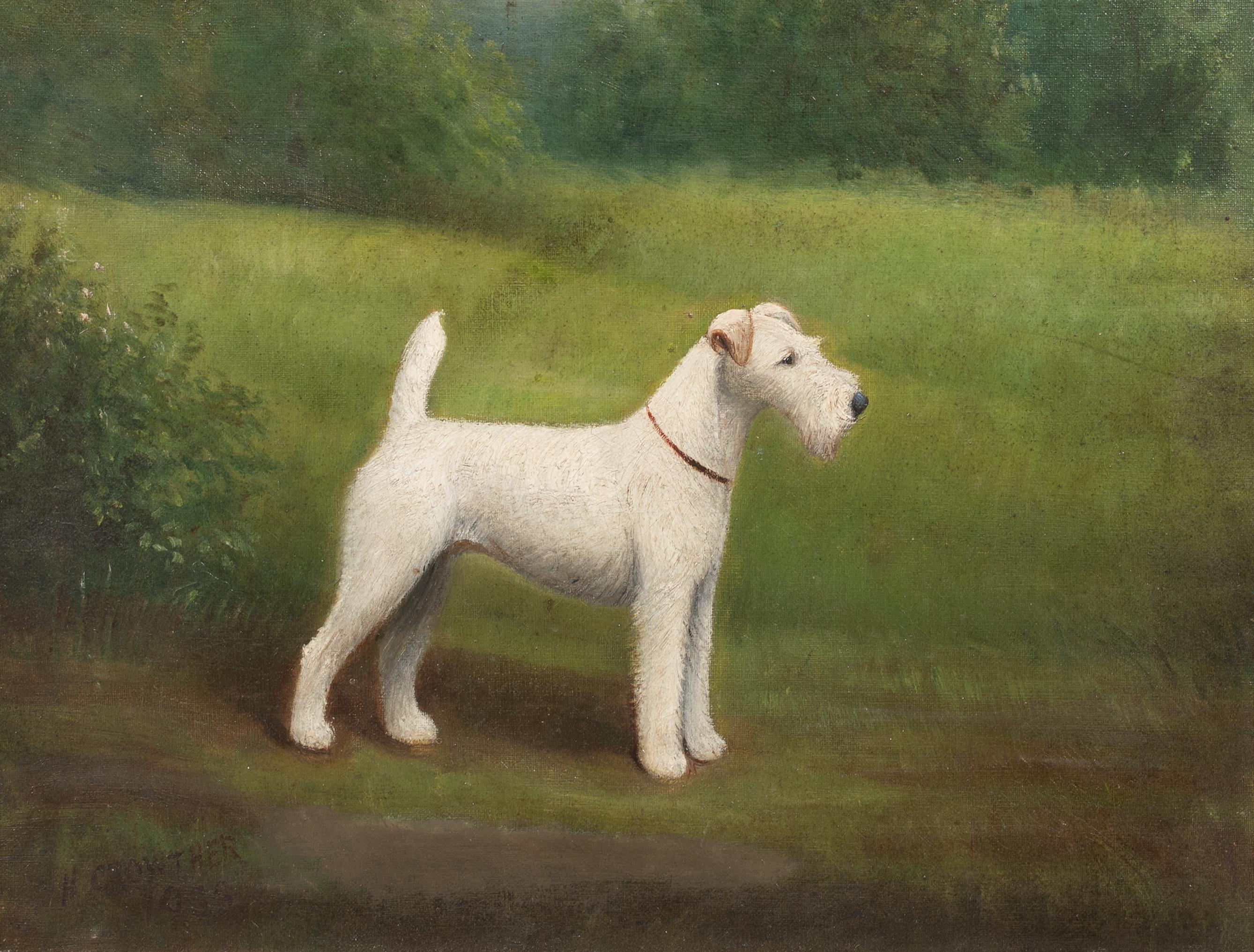 Porträt eines Fuch Terriers aus Drahthaar, 19. Jahrhundert  von Henry CROWTHER um 1935 (Braun), Animal Painting, von Henry Crowther