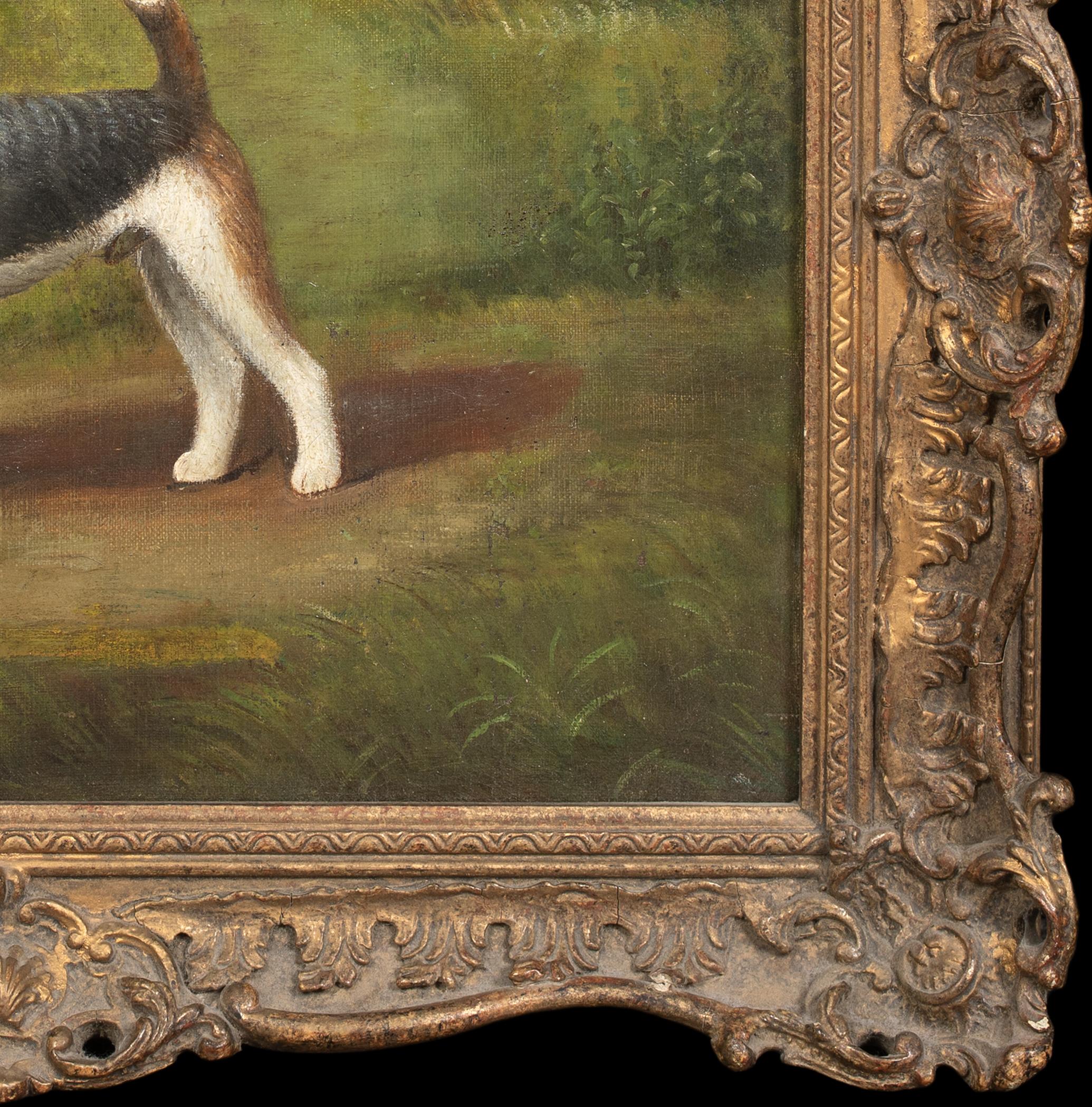 Ritratto di un Fox Terrier a pelo corto, XIX secolo  di Henry Crowther circa 1935 3