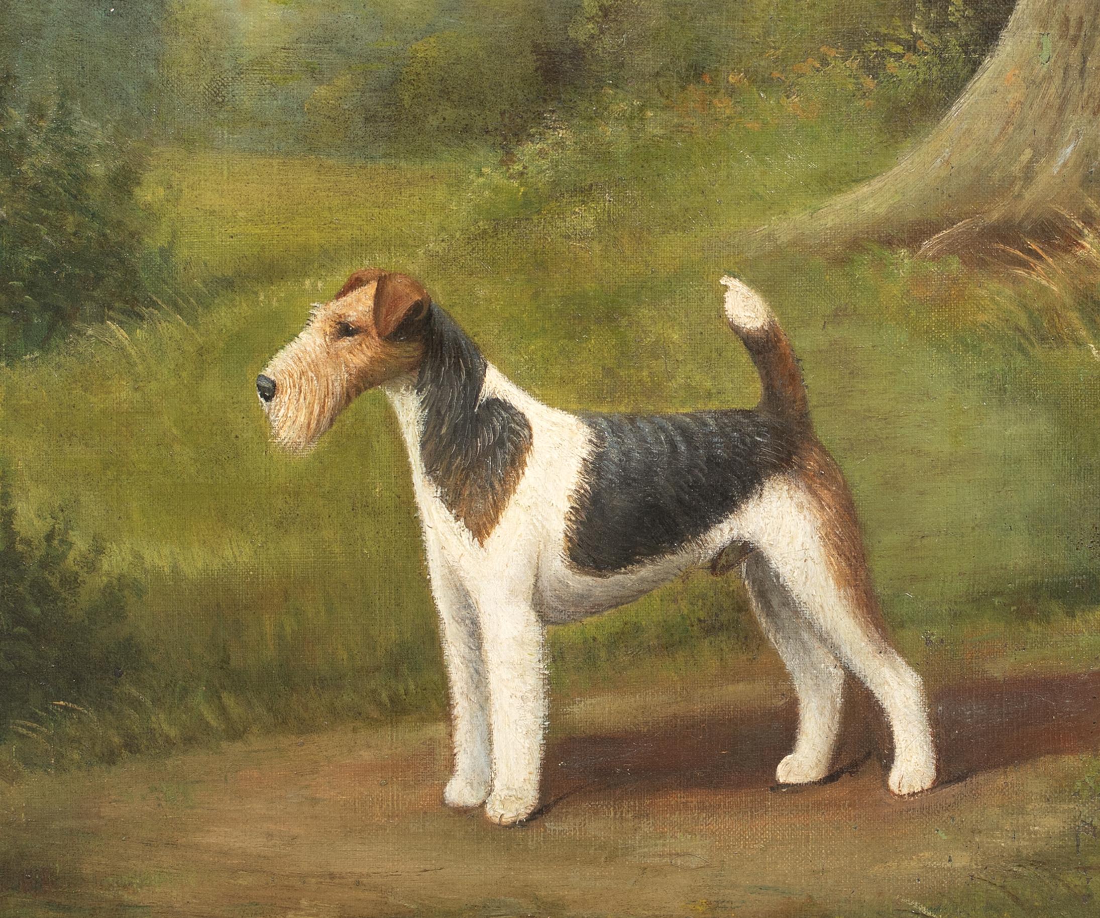 Ritratto di un Fox Terrier a pelo corto, XIX secolo  di Henry Crowther circa 1935 4