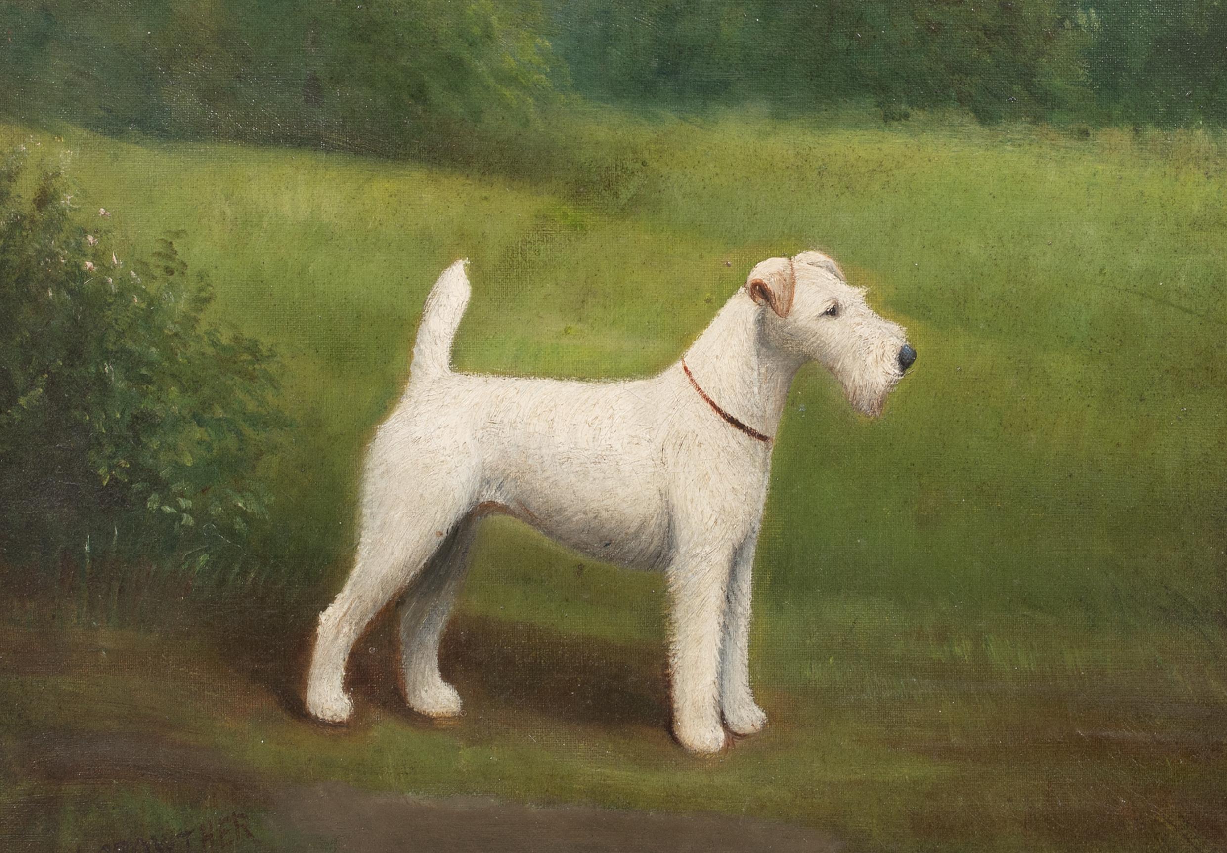 Porträt eines Fuch Terriers aus Drahthaar, 19. Jahrhundert  von Henry CROWTHER um 1935 im Angebot 1