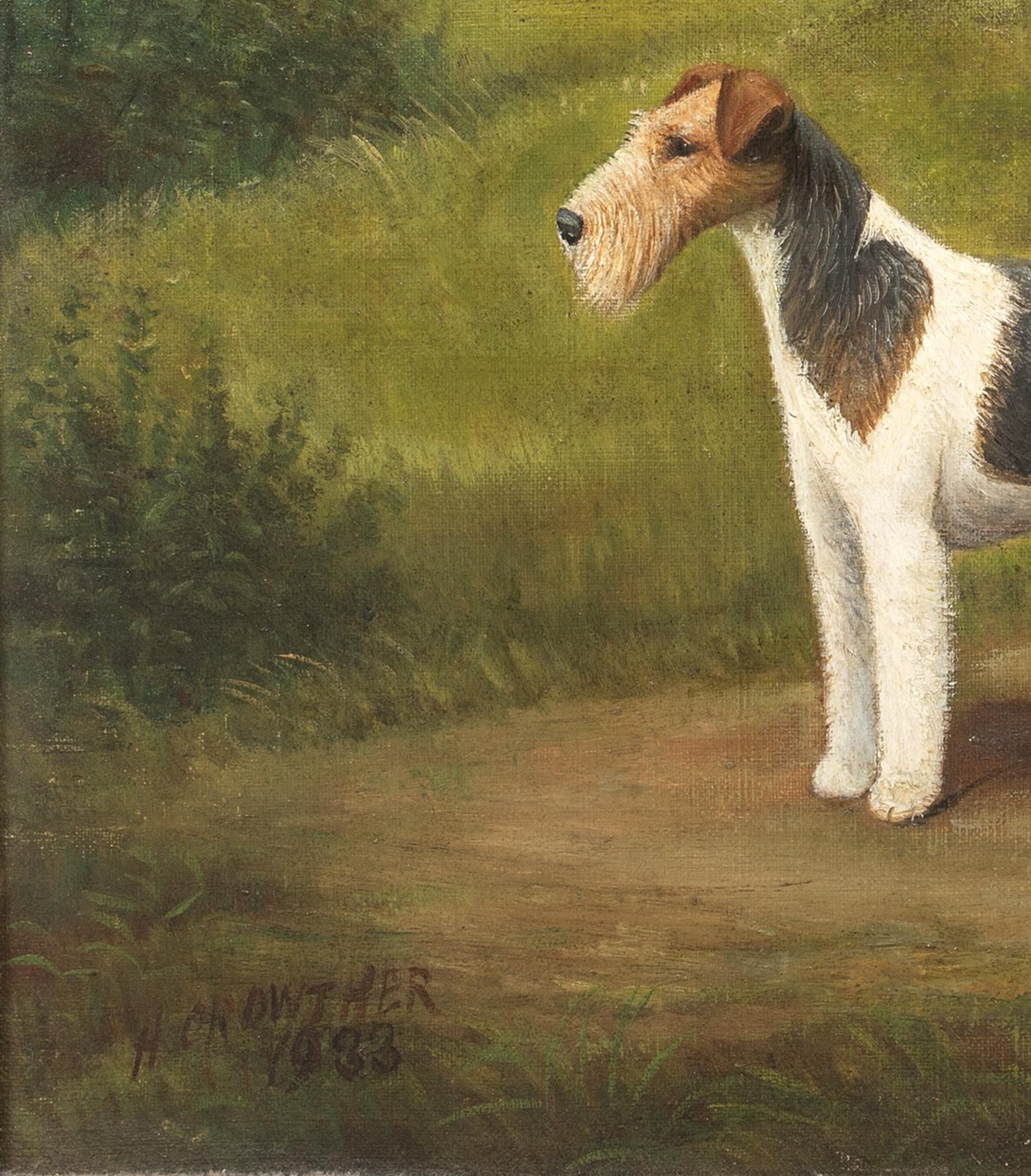 Ritratto di un Fox Terrier a pelo corto, XIX secolo  di Henry Crowther circa 1935 5