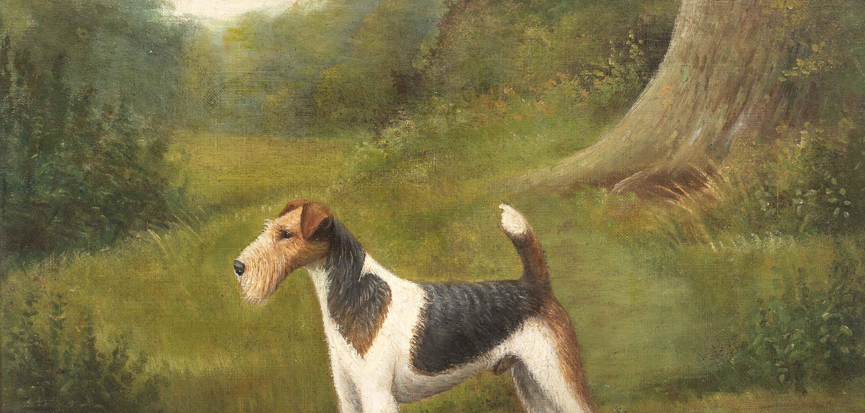 Ritratto di un Fox Terrier a pelo corto, XIX secolo  di Henry Crowther circa 1935 6